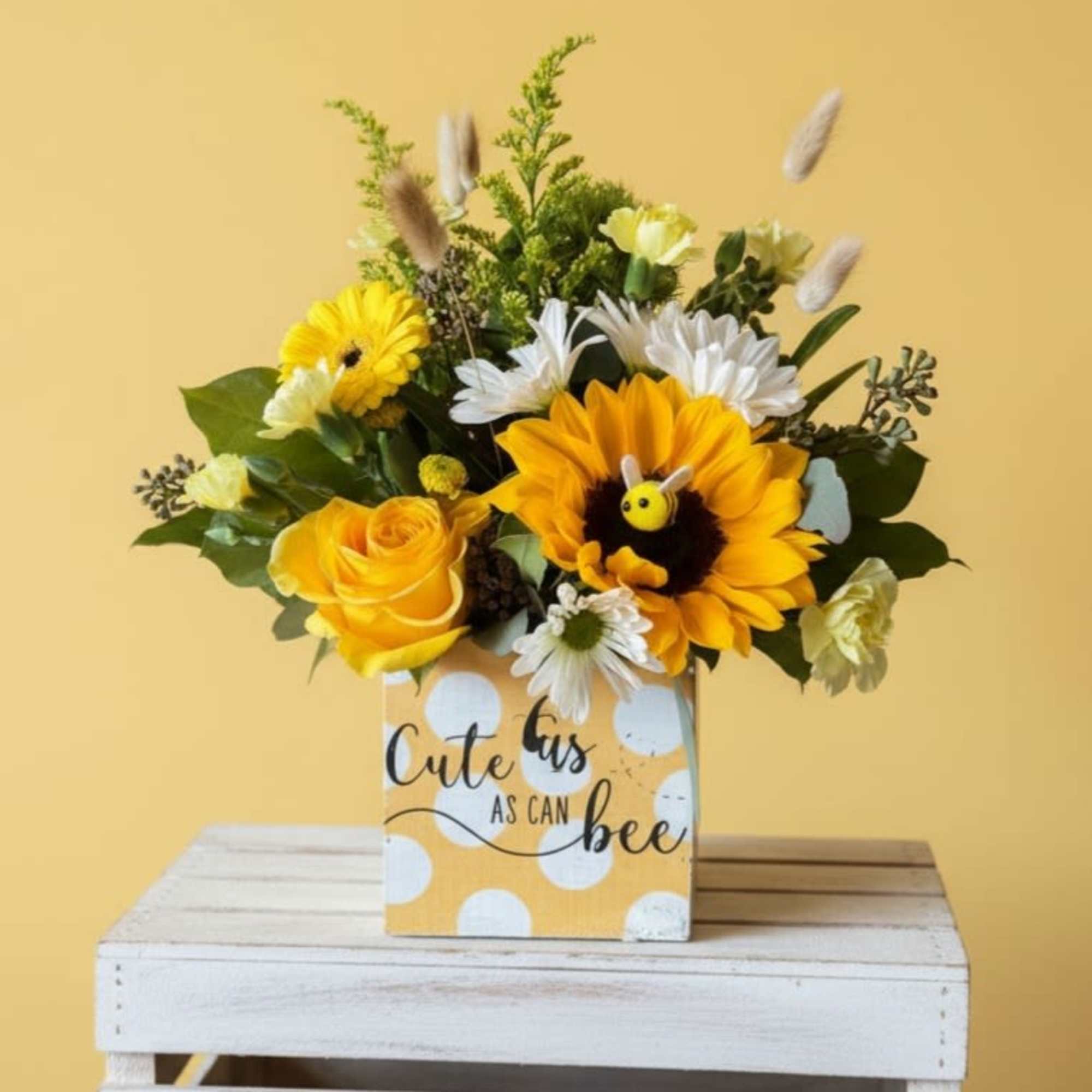 Bask in the happiness and playfulness of our &ldquo;Cute as Can Bee&rdquo;