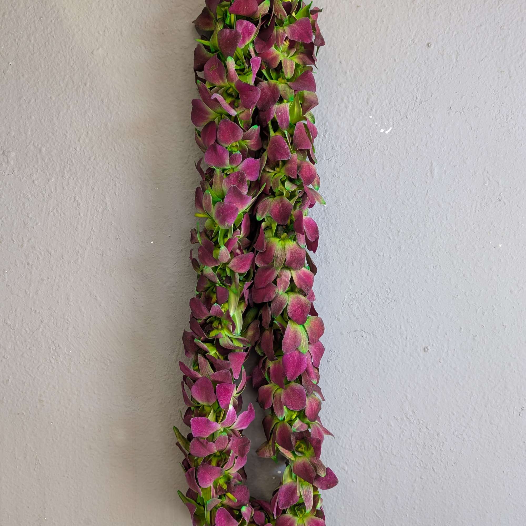 A hanging garland of purple flowers against a plain wall