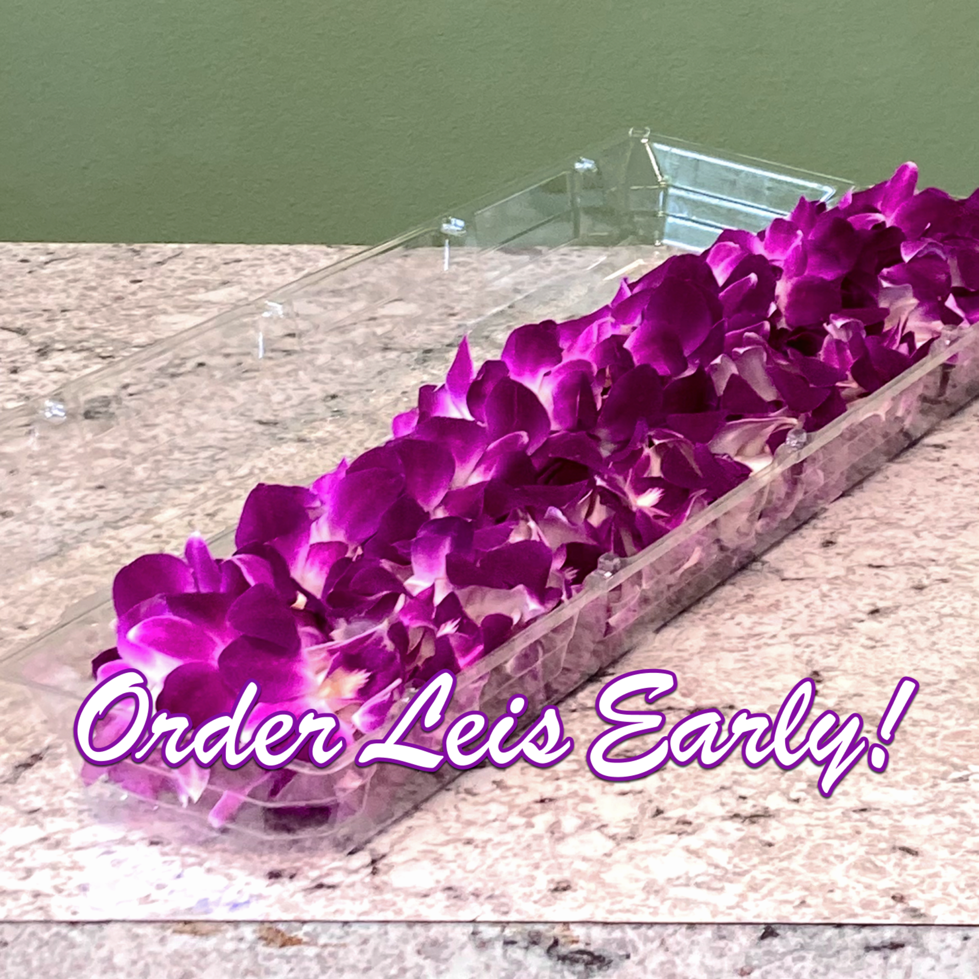 Purple orchid petals arranged in a long clear tray on a countertop