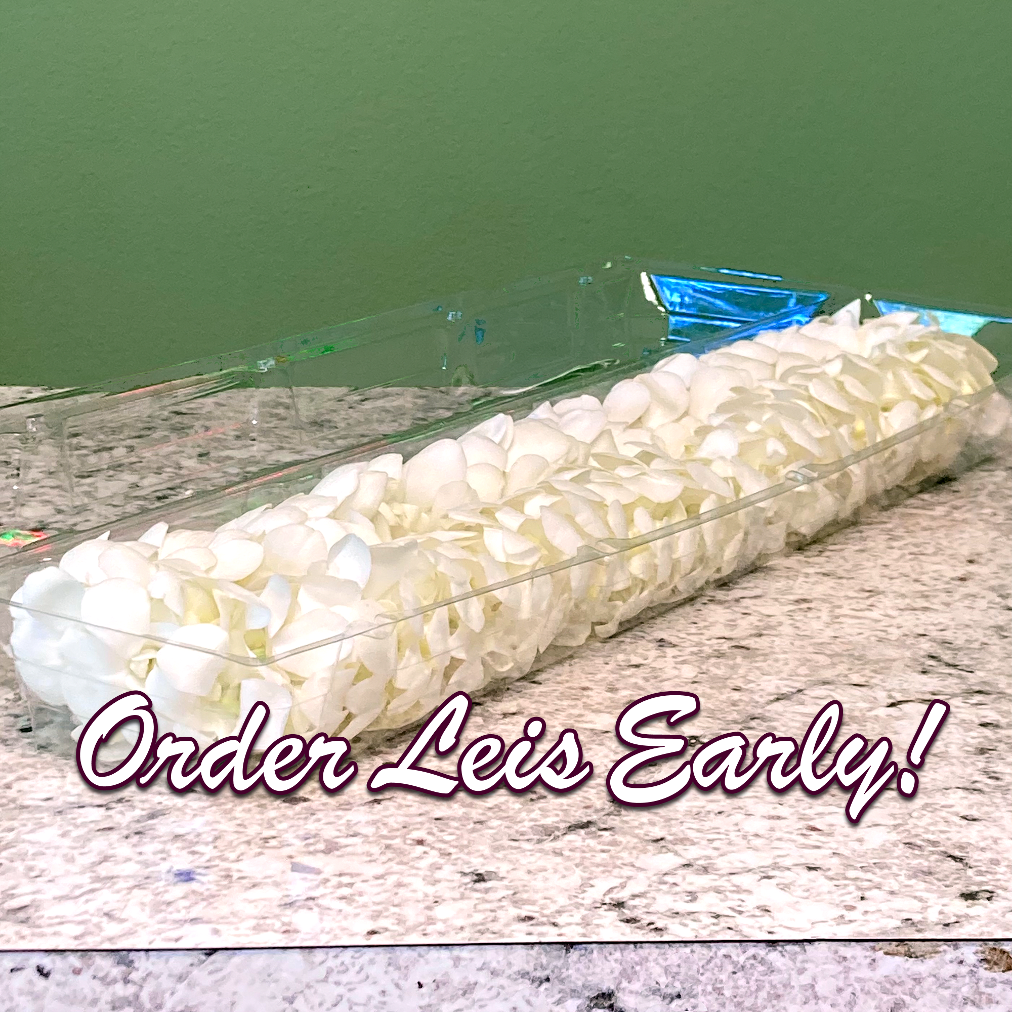 Long clear tray filled with white rose petals on a countertop