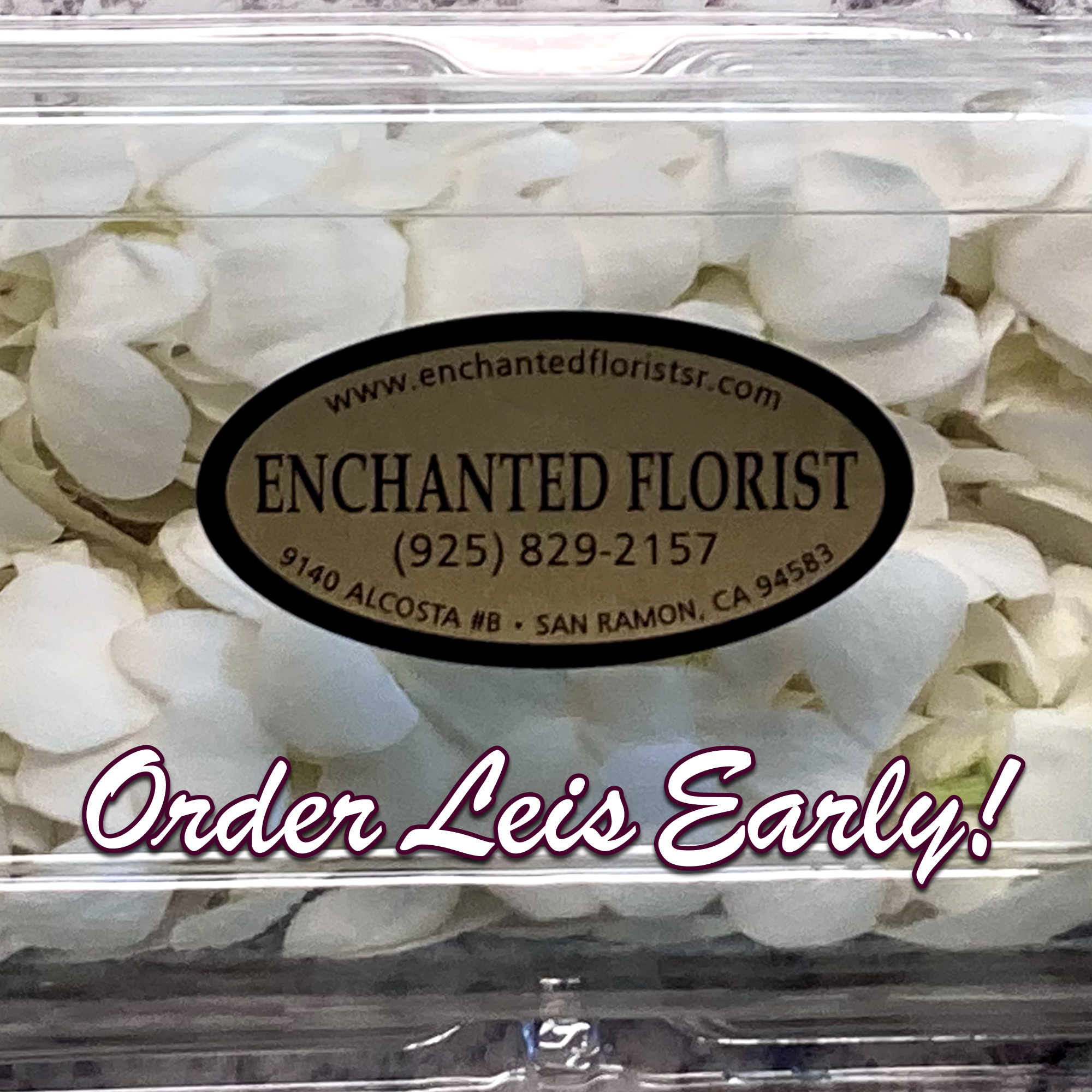 Clear plastic box filled with white rose petals and a florist label