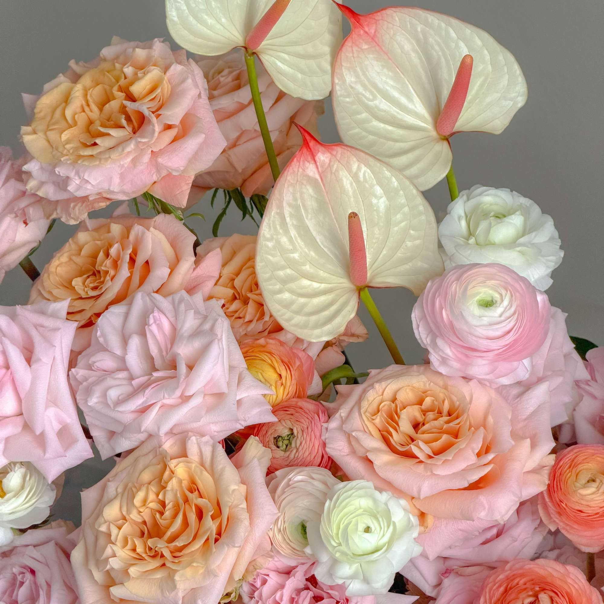 A lush, rounded arrangement in soft blush, peach, cream and pale orange-perfect