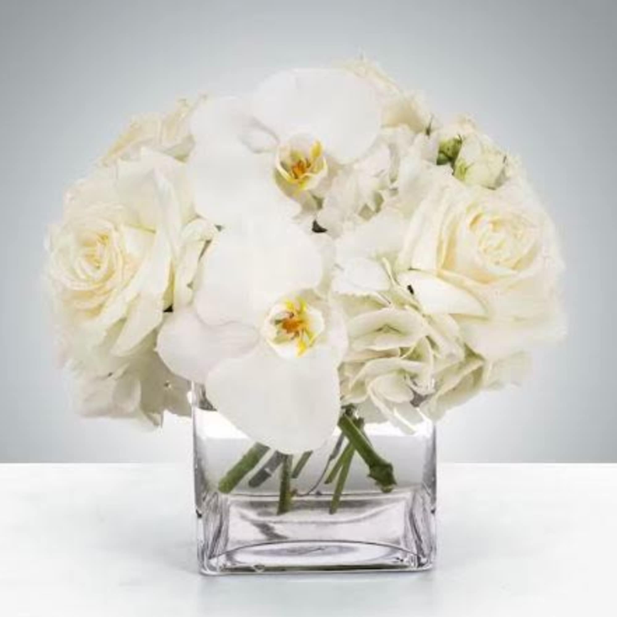  Pet Friendly?
NO
Roses are generally considered low-risk, but mixed greenery is not