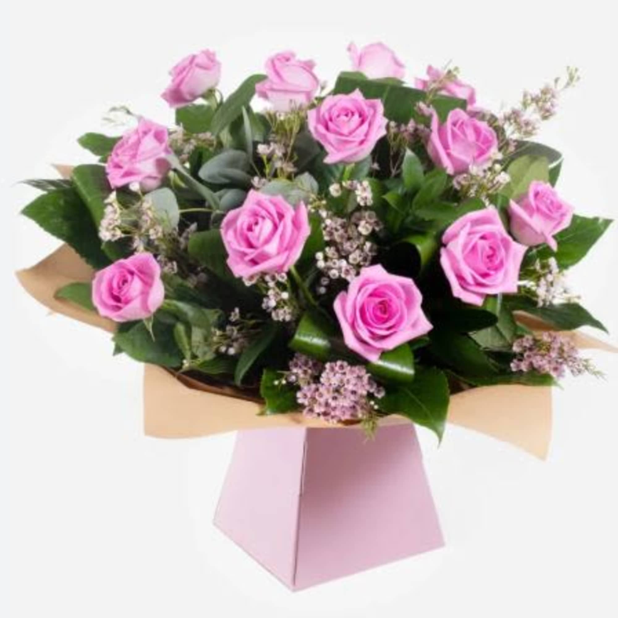  Pet Friendly?
Yes. Roses are considered non-toxic to cats and dogs, according