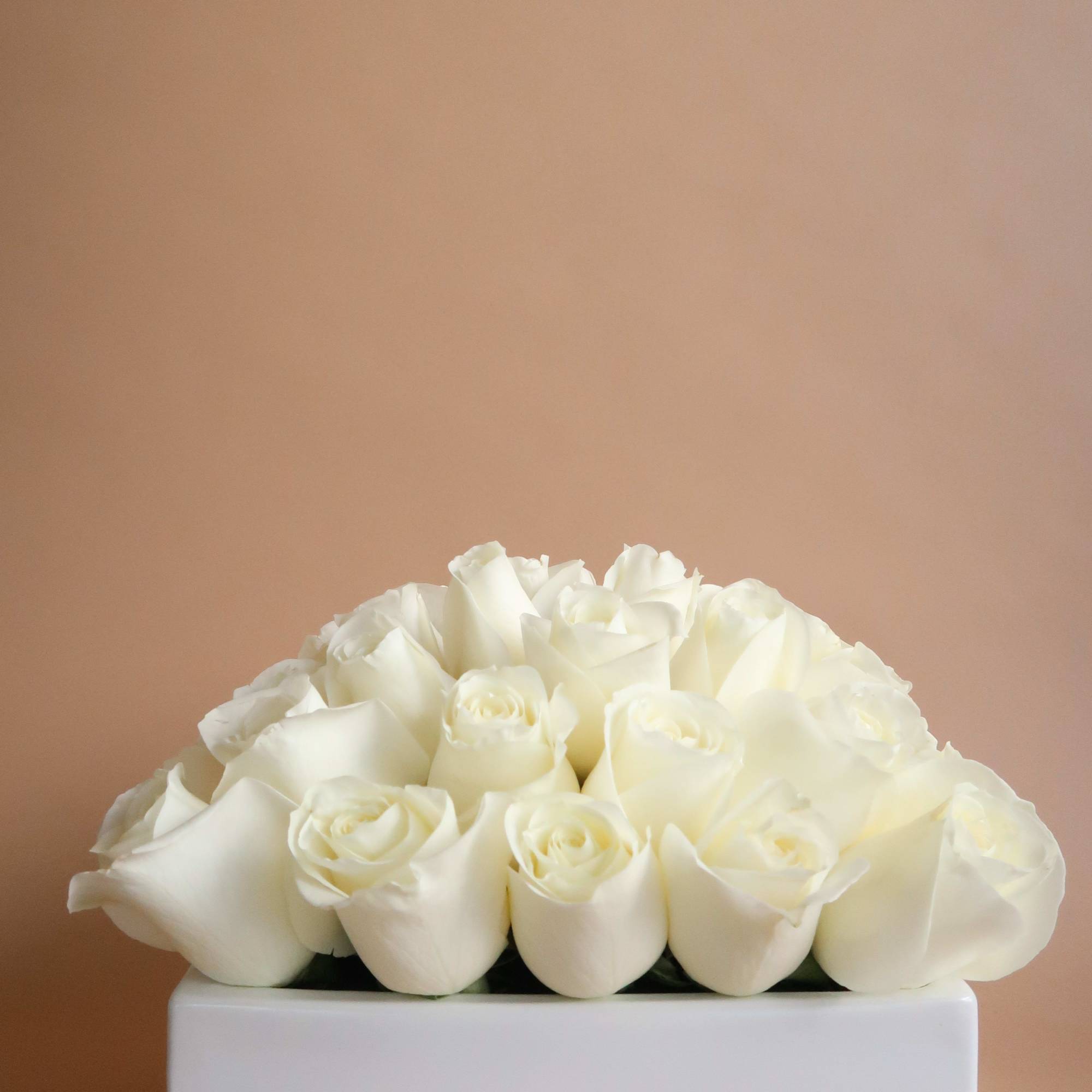 I&rsquo;m still dreaming of a whole lot of white roses! White vases