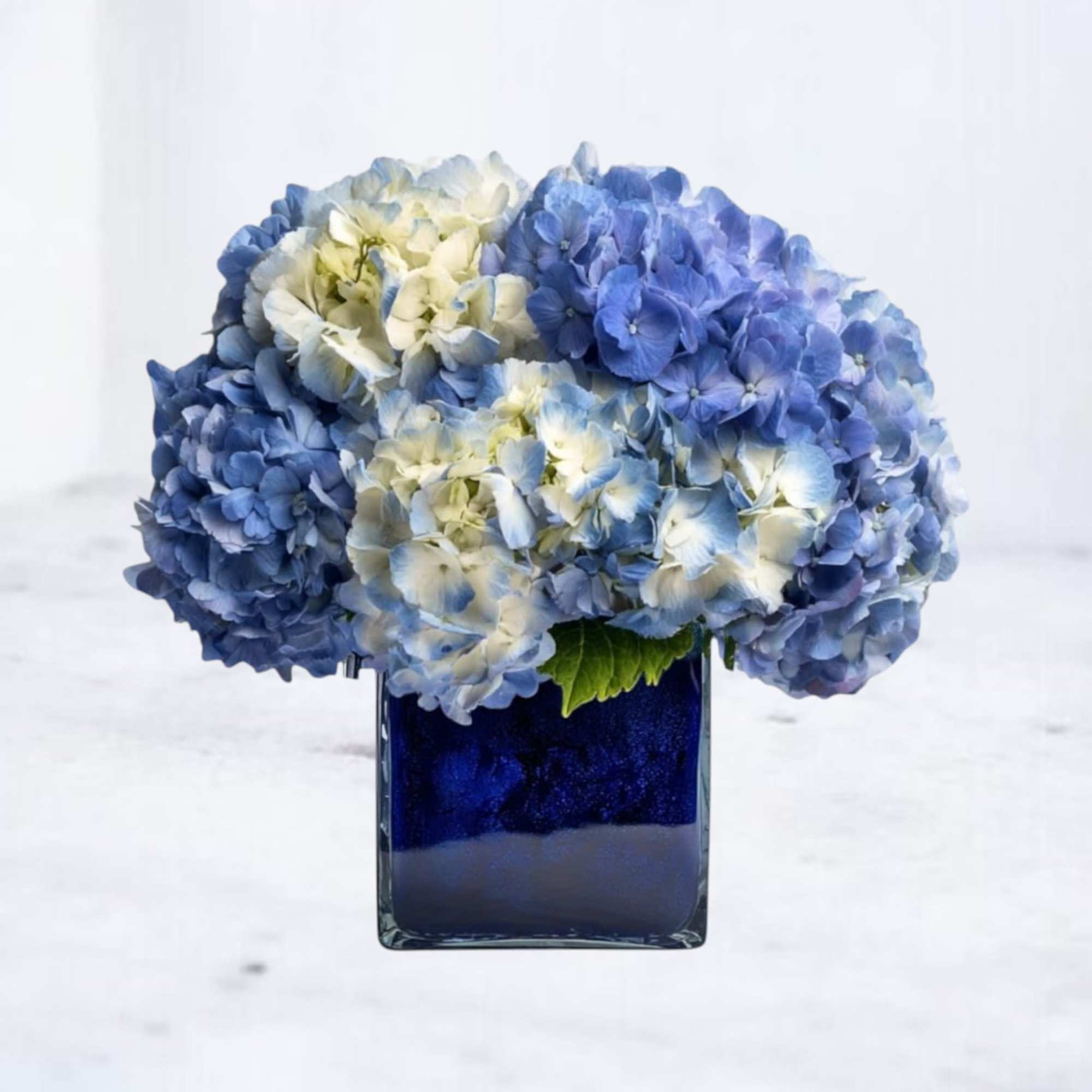 Offer a heartfelt expression of sympathy with Nebula Sky, a serene and