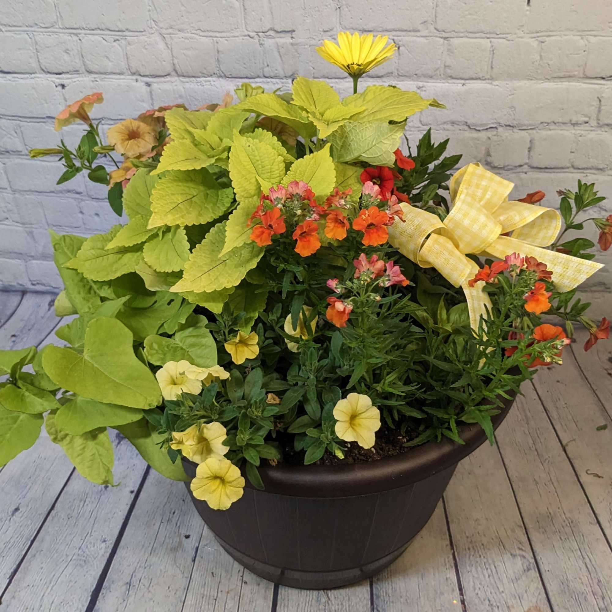 Mixed potted flowers with yellow ribbon in a dark planter