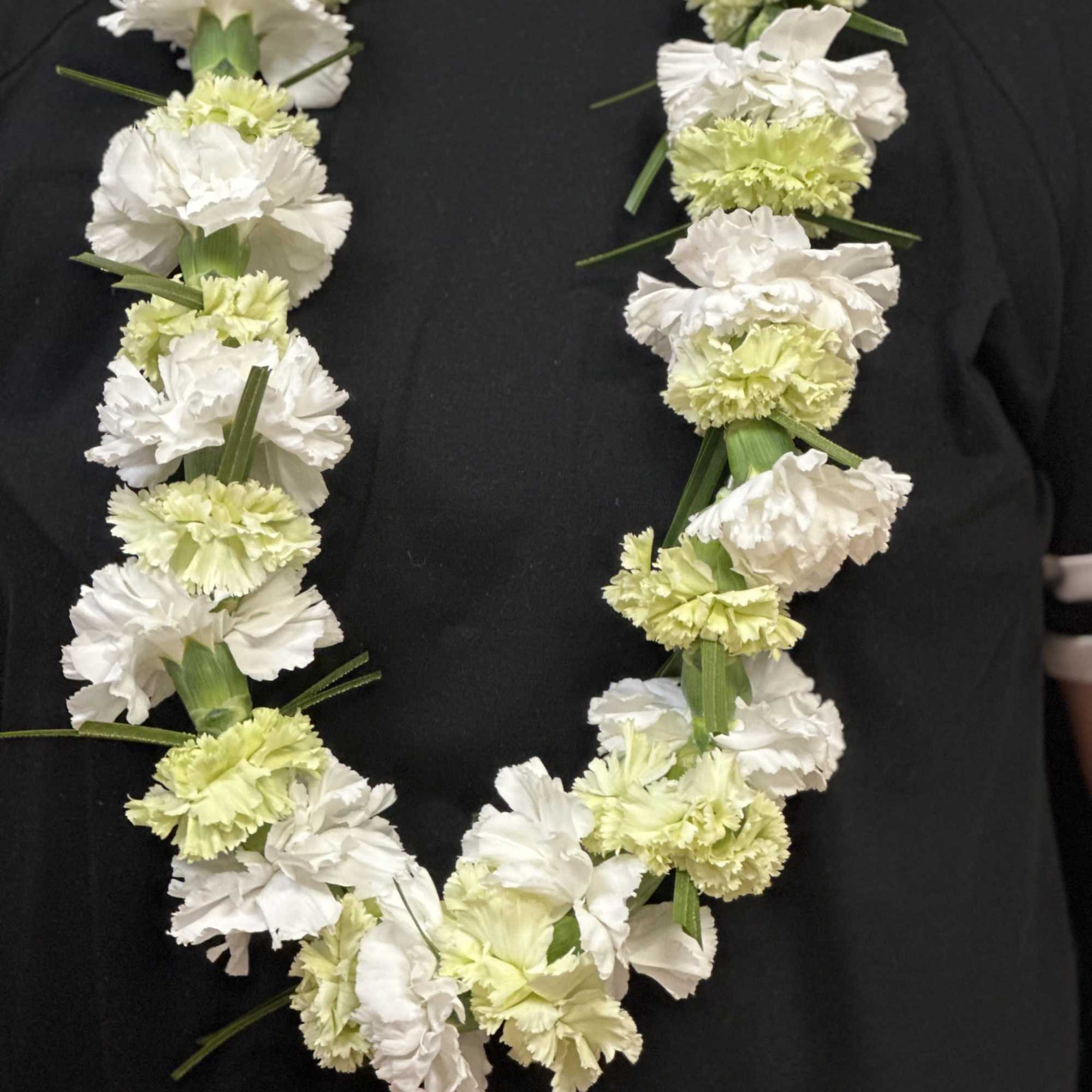 Carnation Lei. Please Specify Colors You Would Like In Special Instructions.