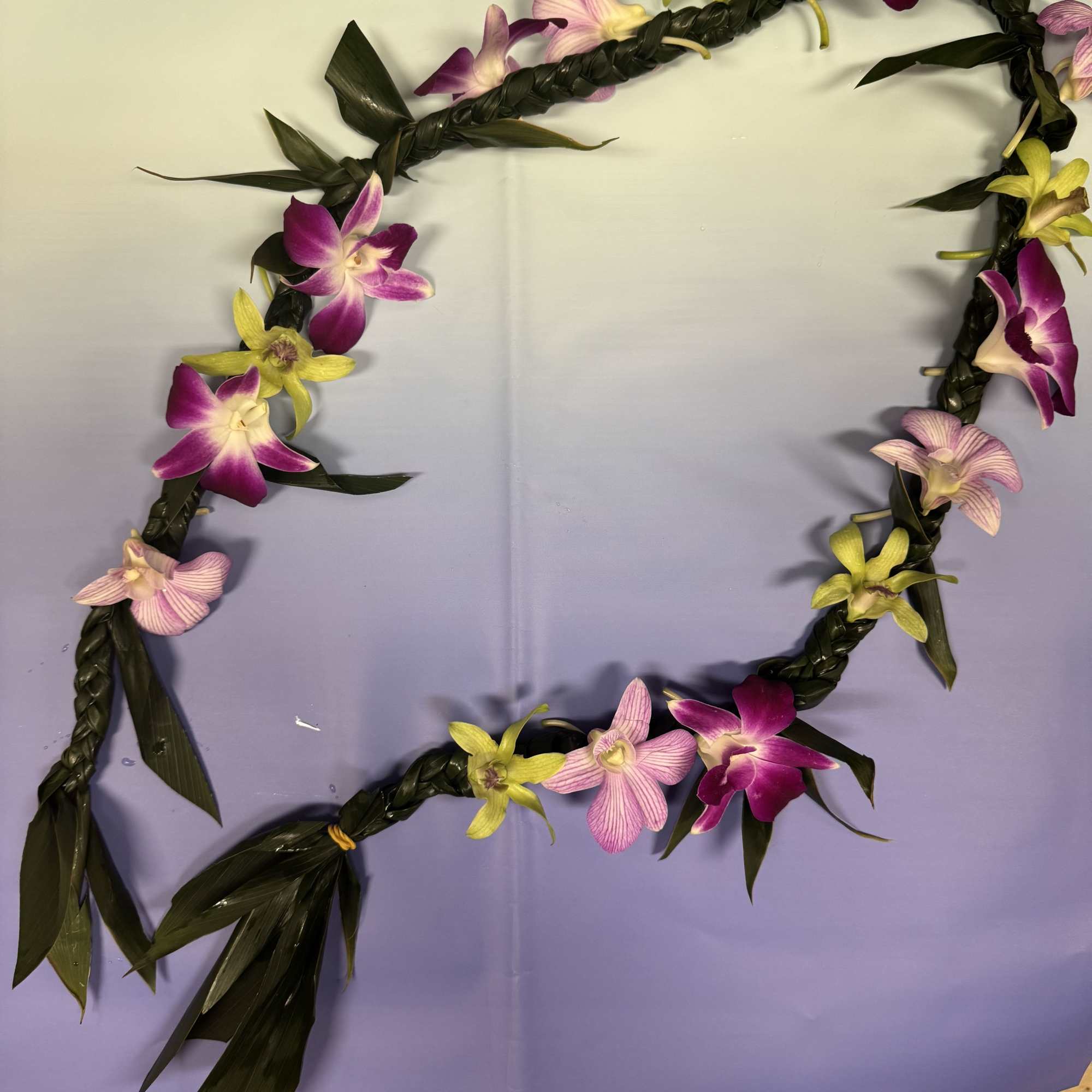 This beautiful lei made with mix colors dendrobium and to leaf 