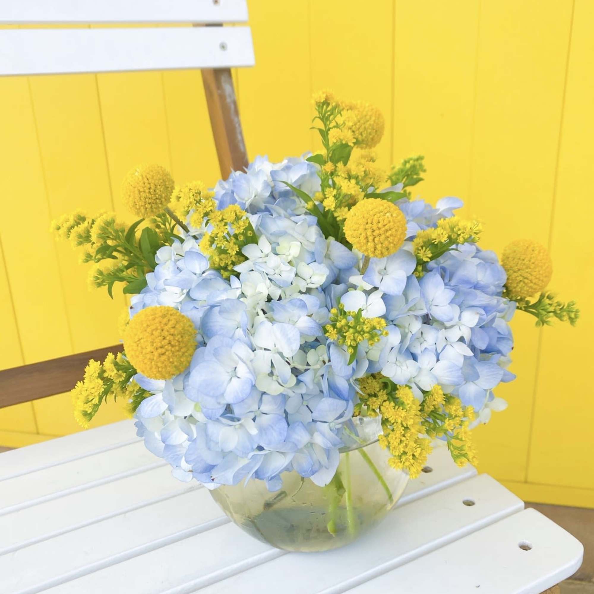 Hydrangea arrangement in beautiful summer colors! Colors may vary depending on availability.