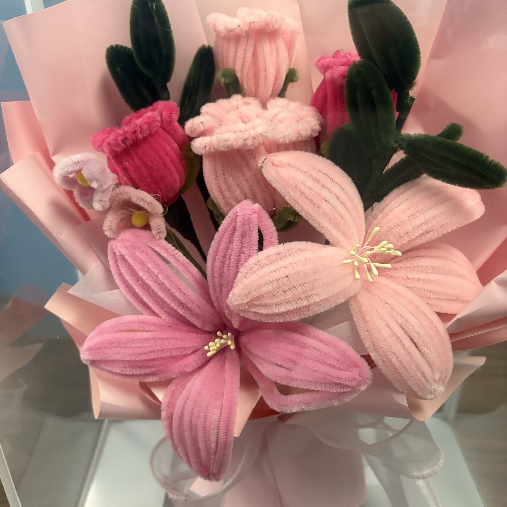 Plush ribbed blossoms in soft pink make an immediately cheerful impression -