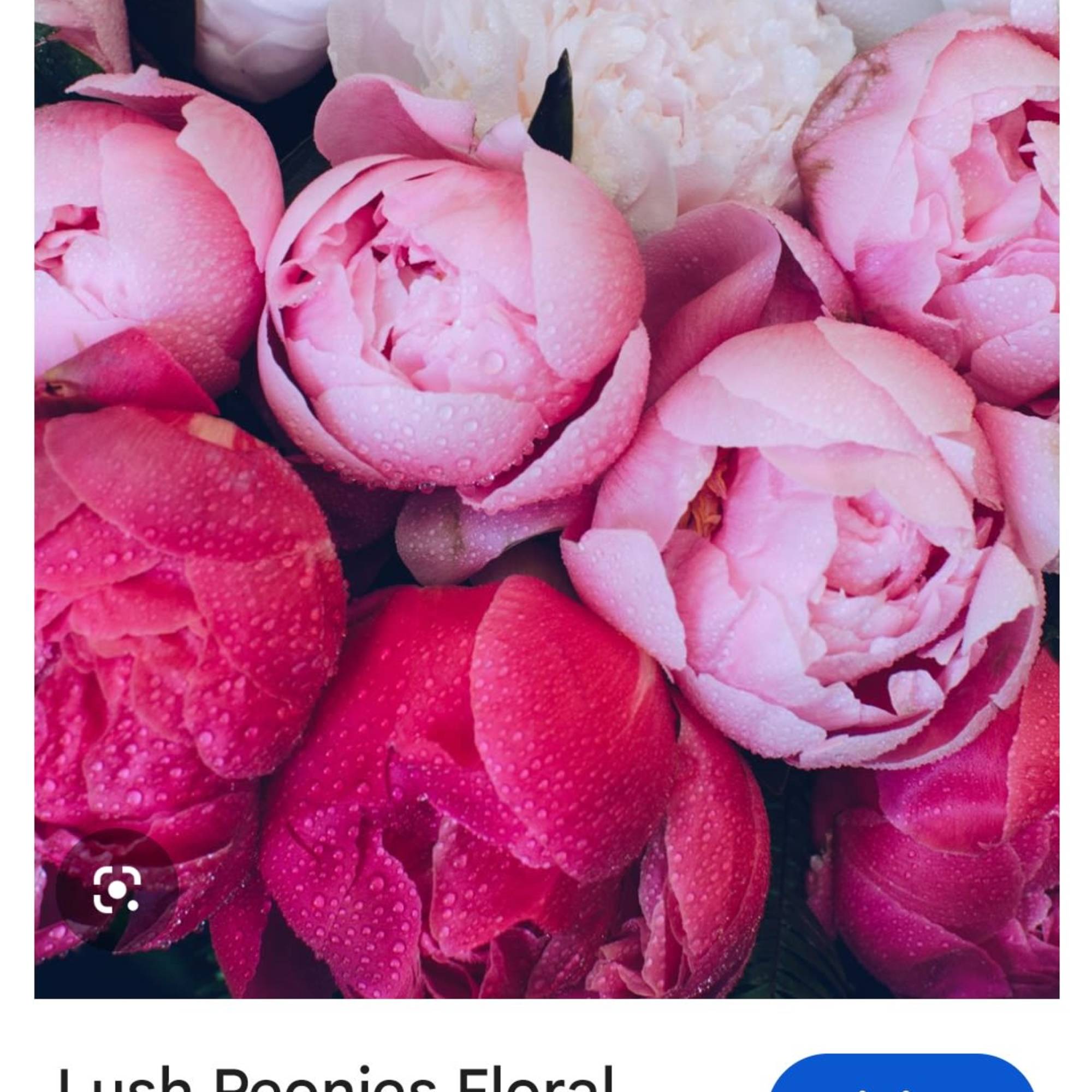  Lush peonies and vivid hot pink roses combine for a romantic