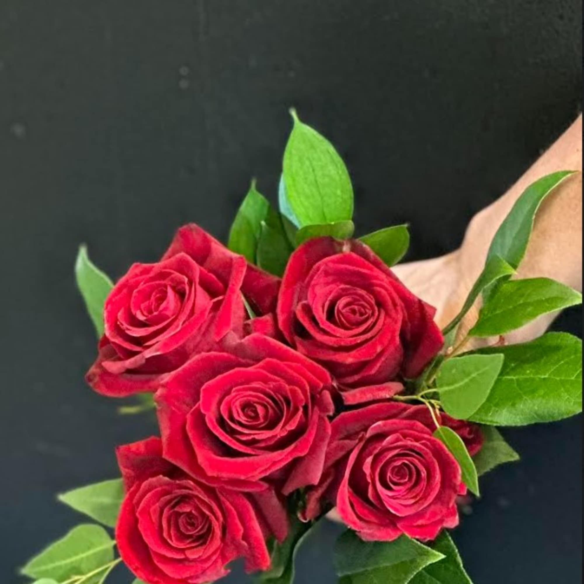 Bouquet of red roses with green foliage