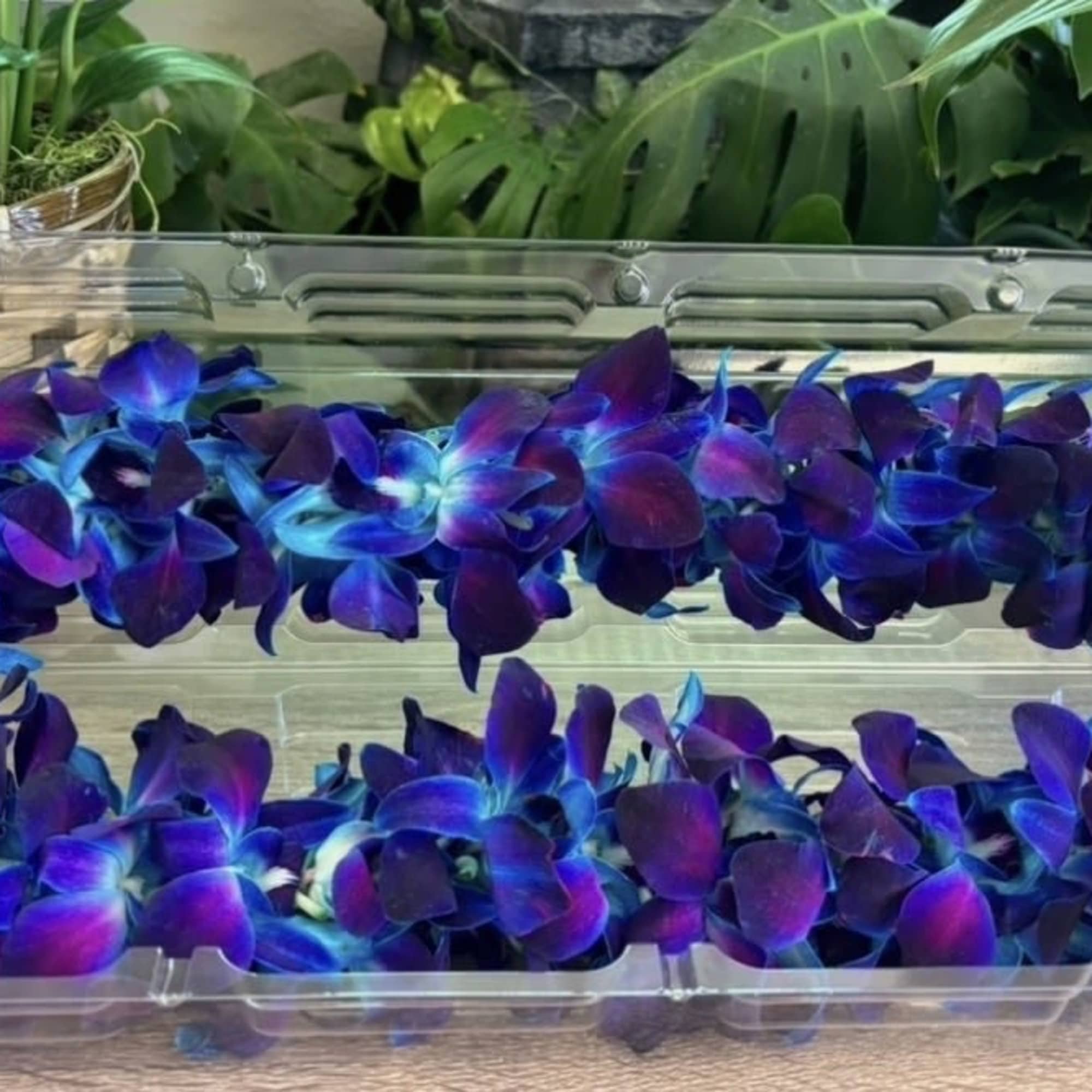 Floral orchid lei