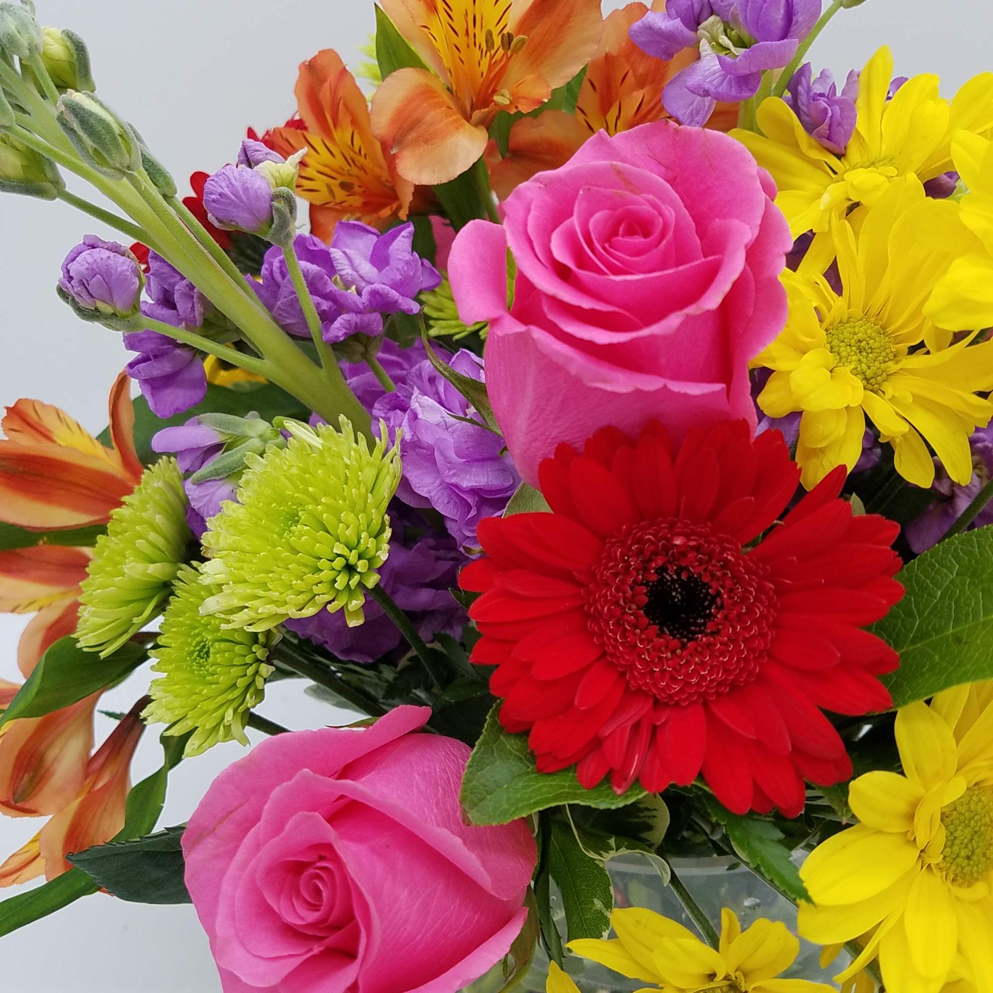 Mixed bouquet with pink roses, red gerbera daisies, and yellow daisies