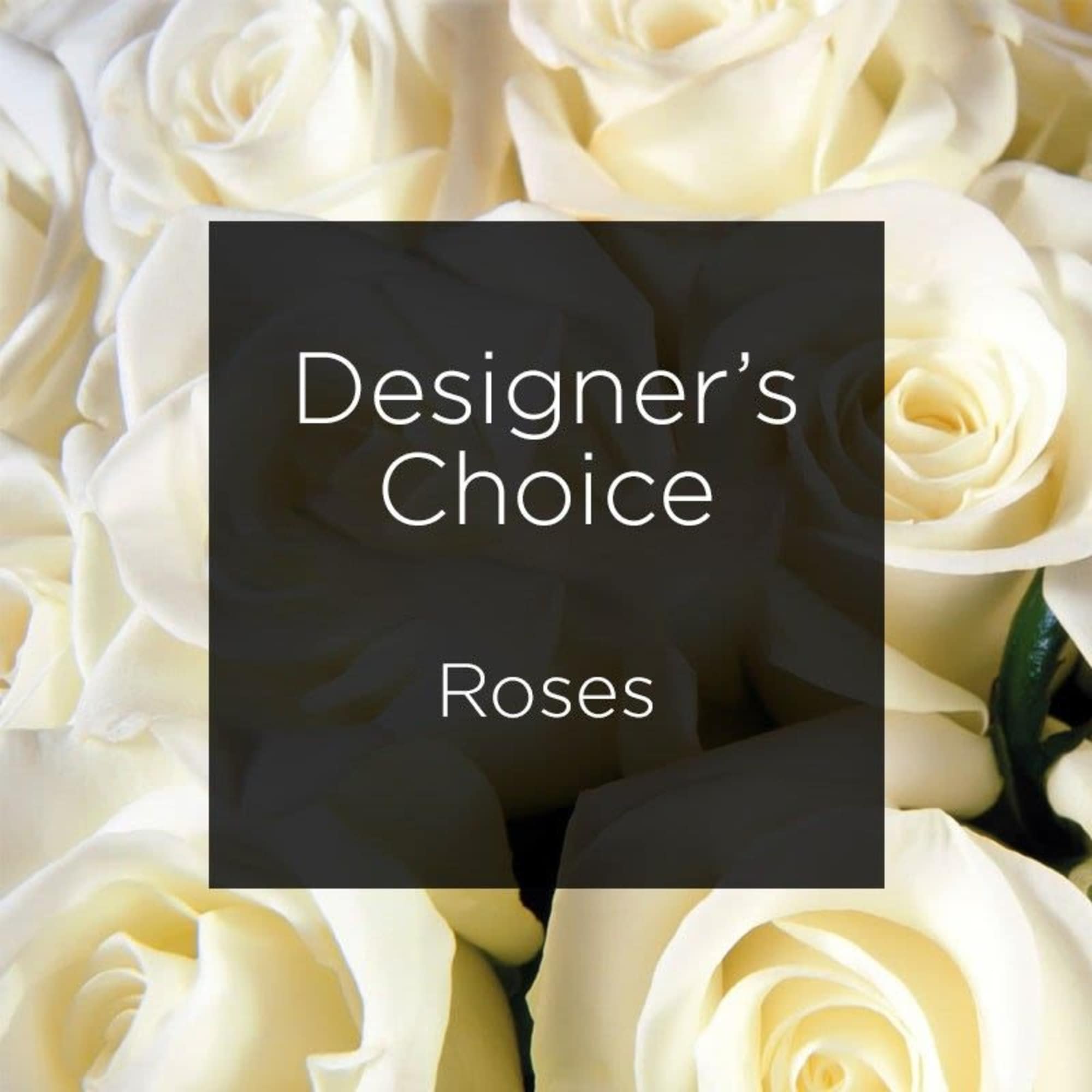 Close-up of cream-colored roses with a "Designer’s Choice Roses" label