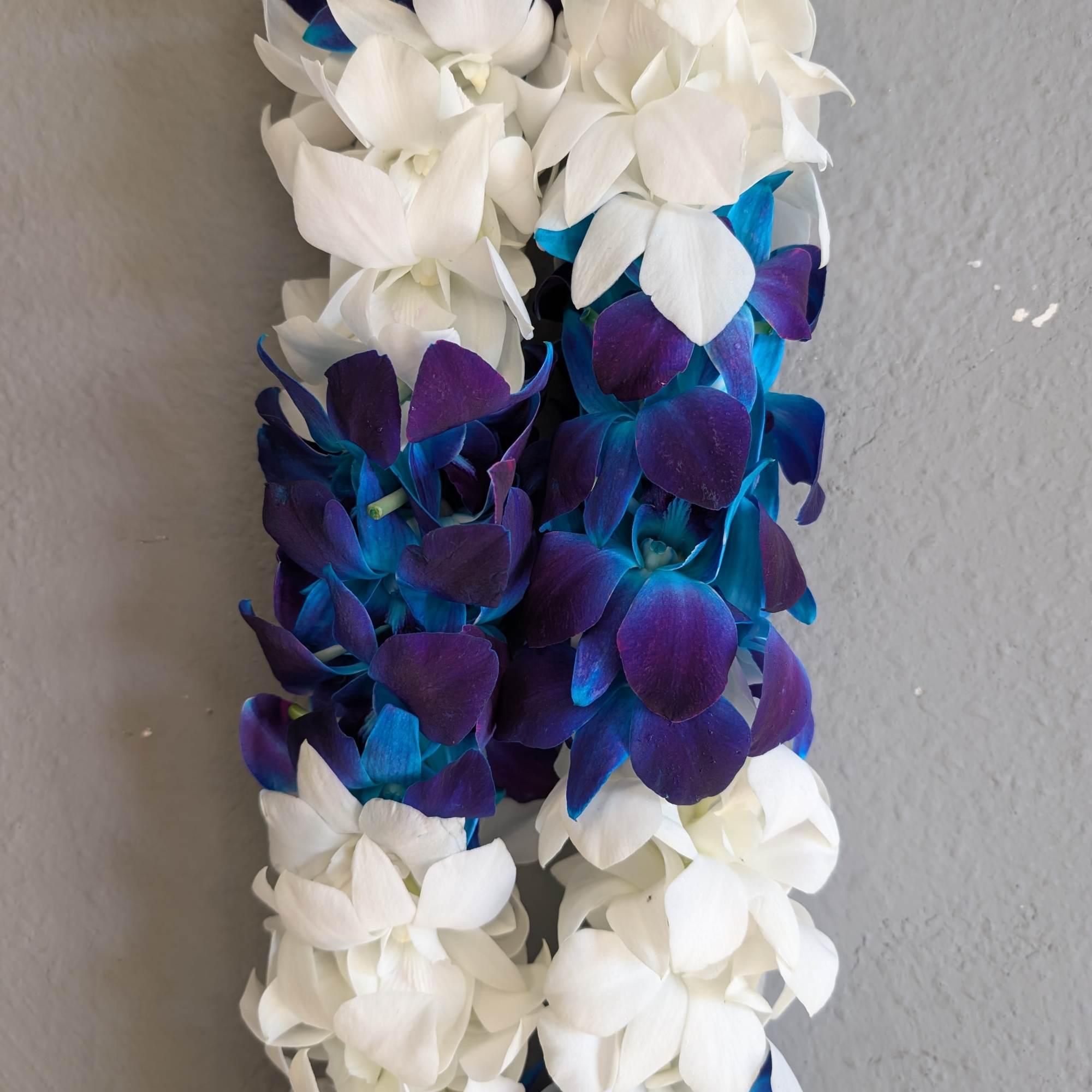 A vertical garland of white and blue-purple orchid blooms