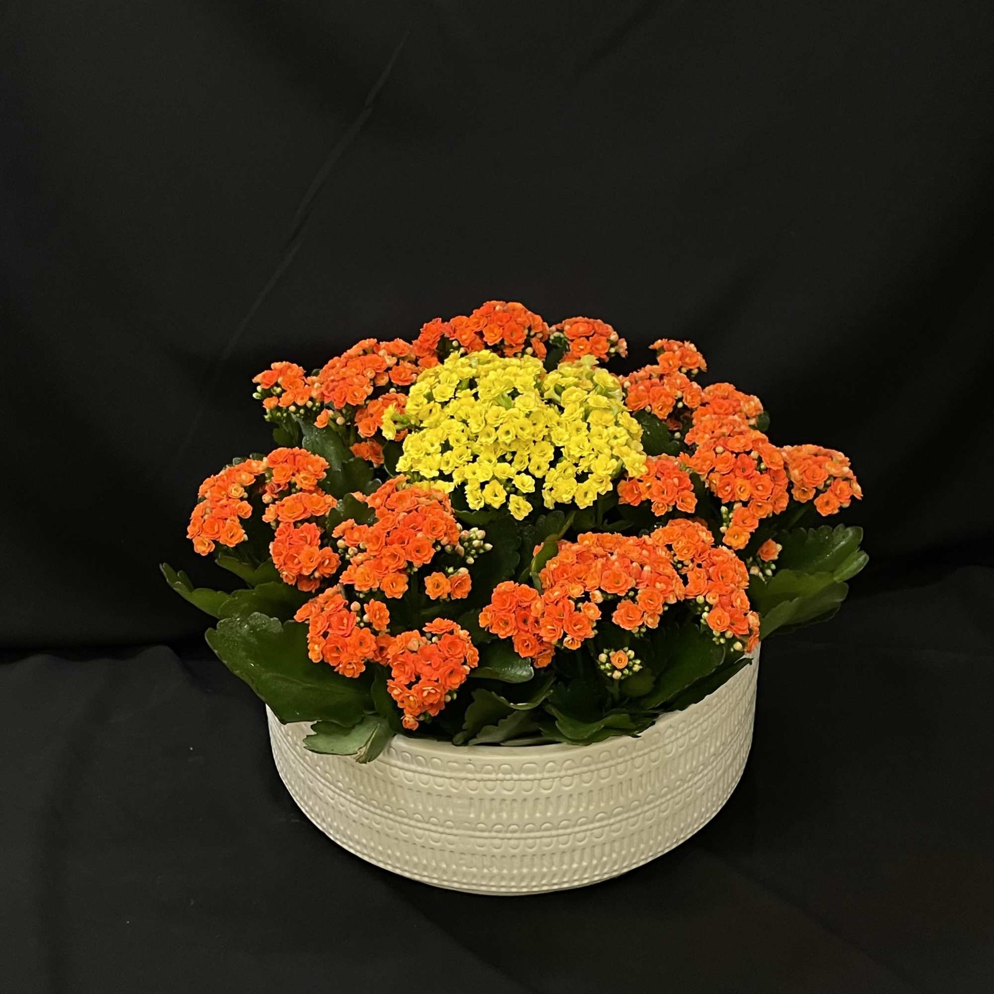 A low, rounded planter of vibrant orange and sunny yellow blooms that
