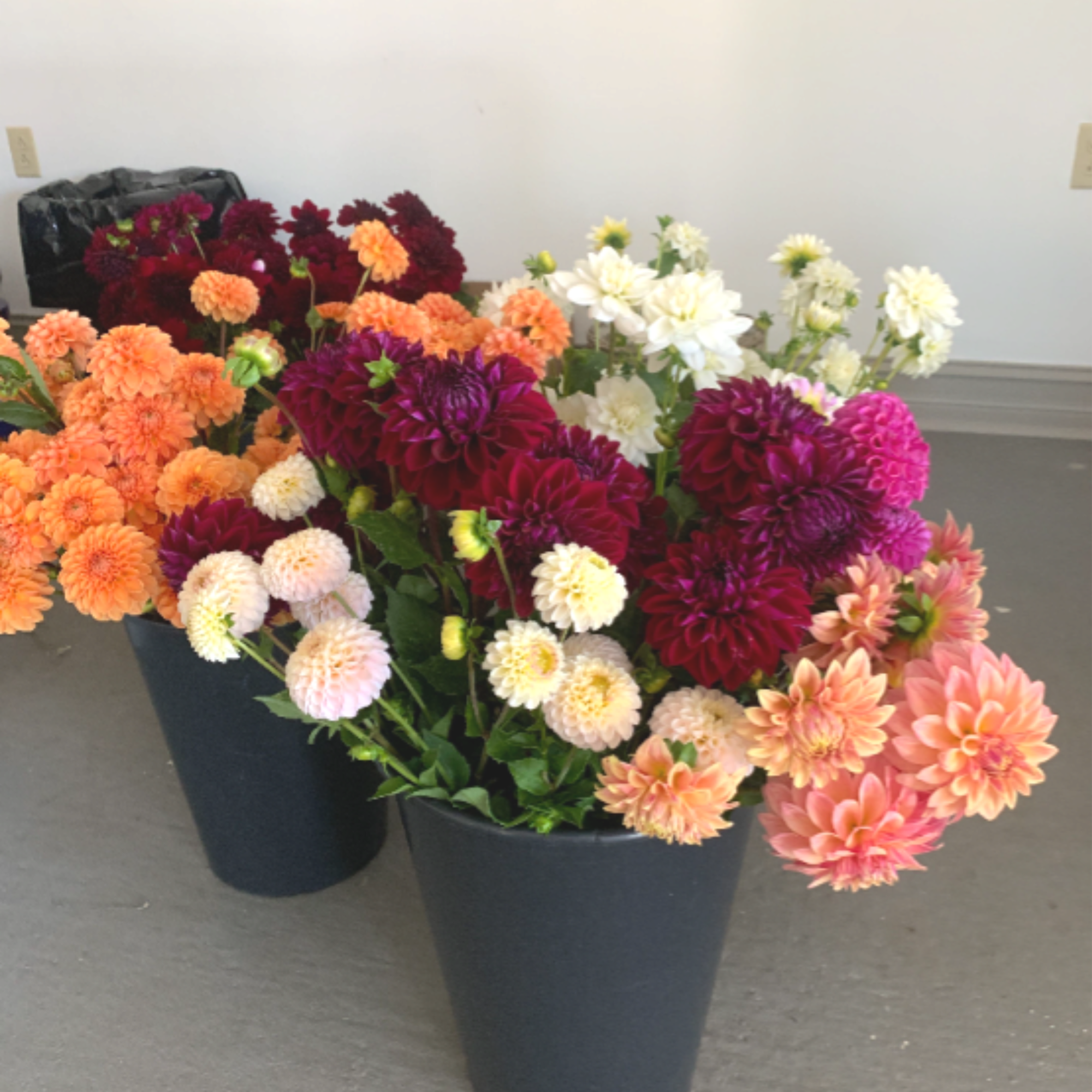 Availability June - October
DIY buckets are a great way to get local