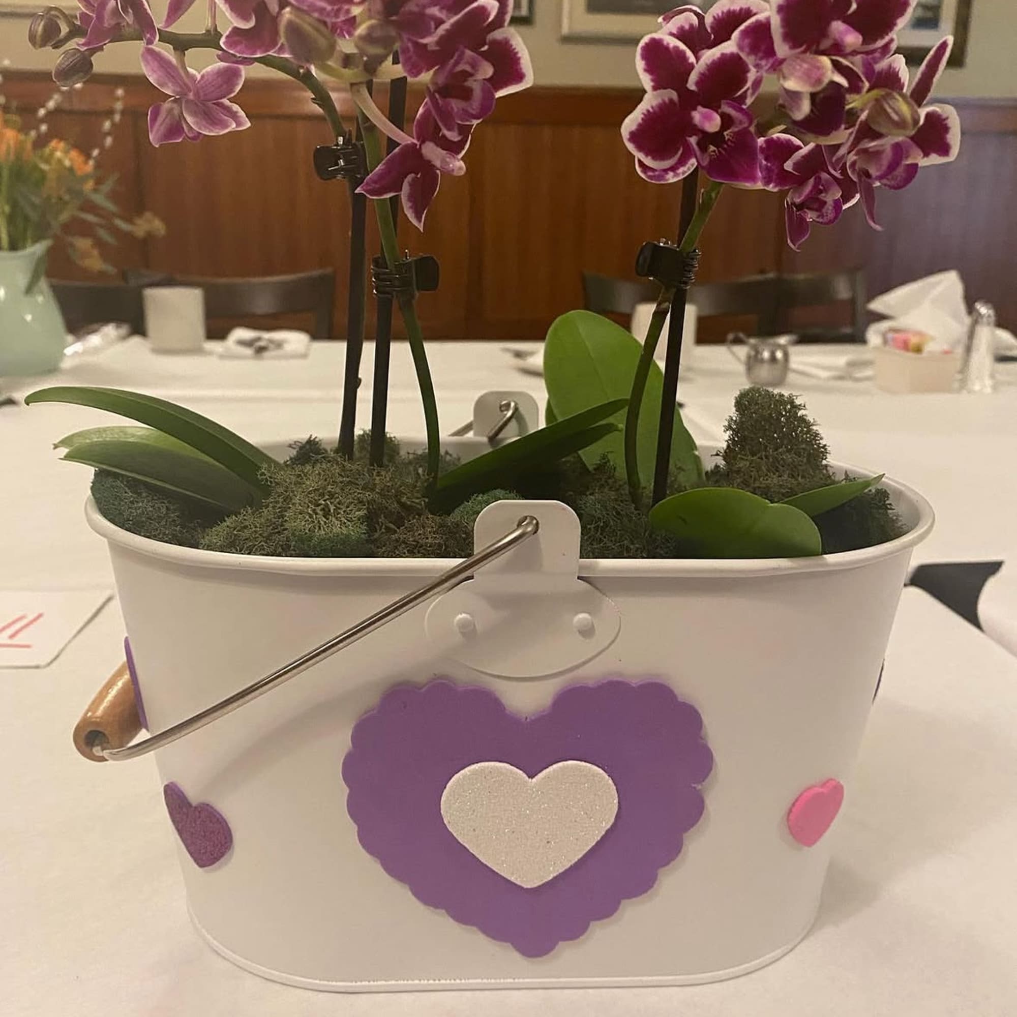 Get Well Orchids