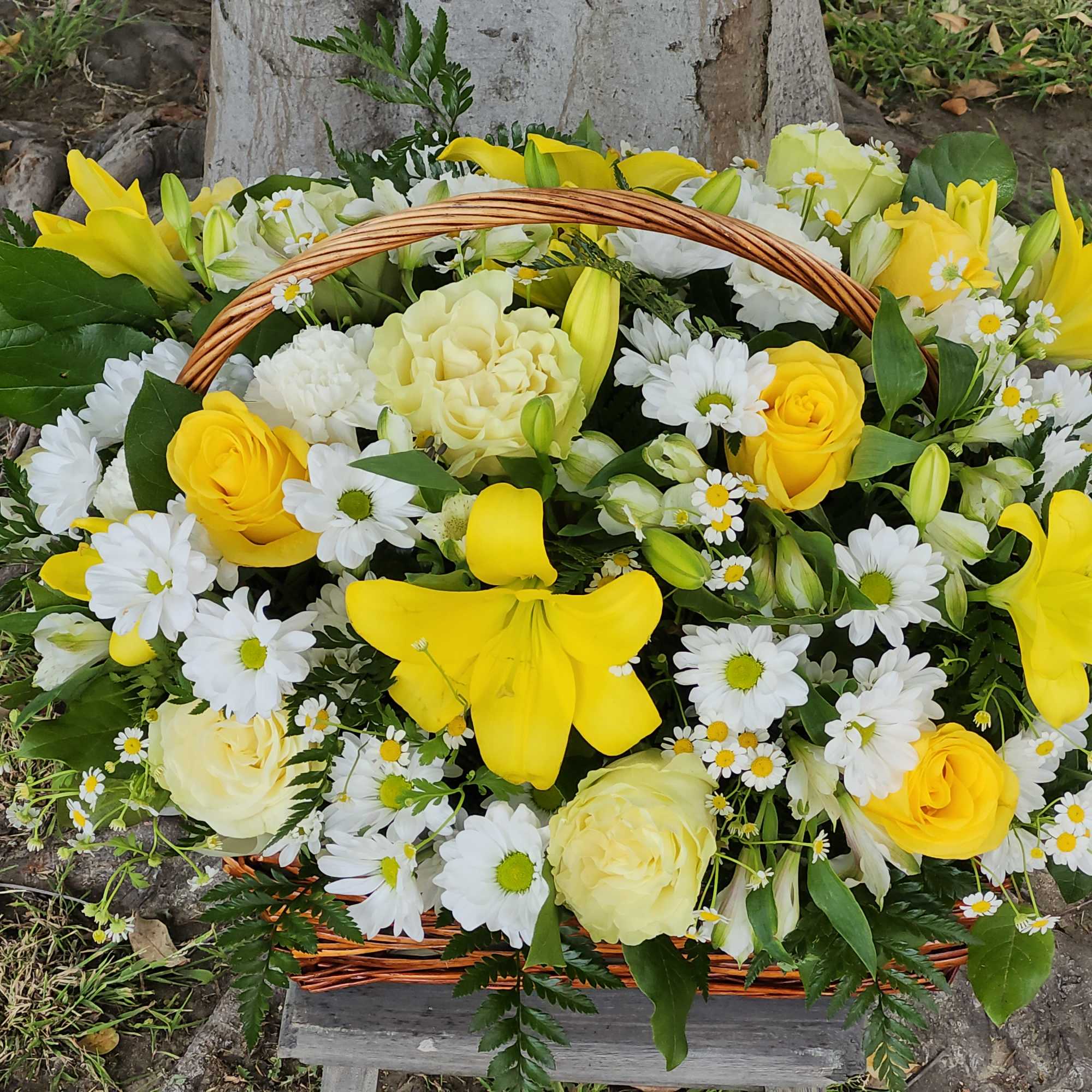 Basket arrangement of yellow and white flowers with daisies and roses