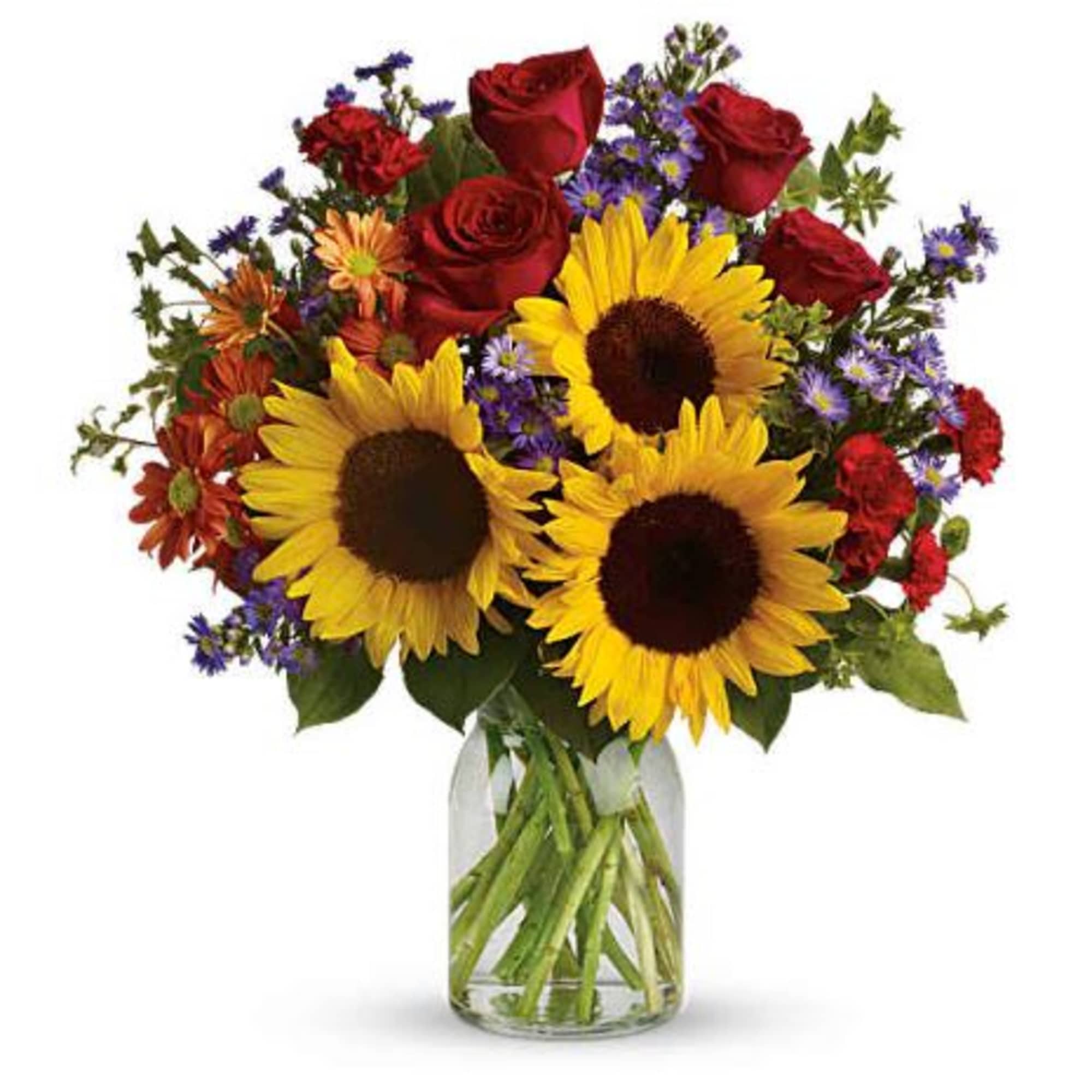  Pet Friendly?
NO . Chrysanthemums can be toxic to cats and dogs