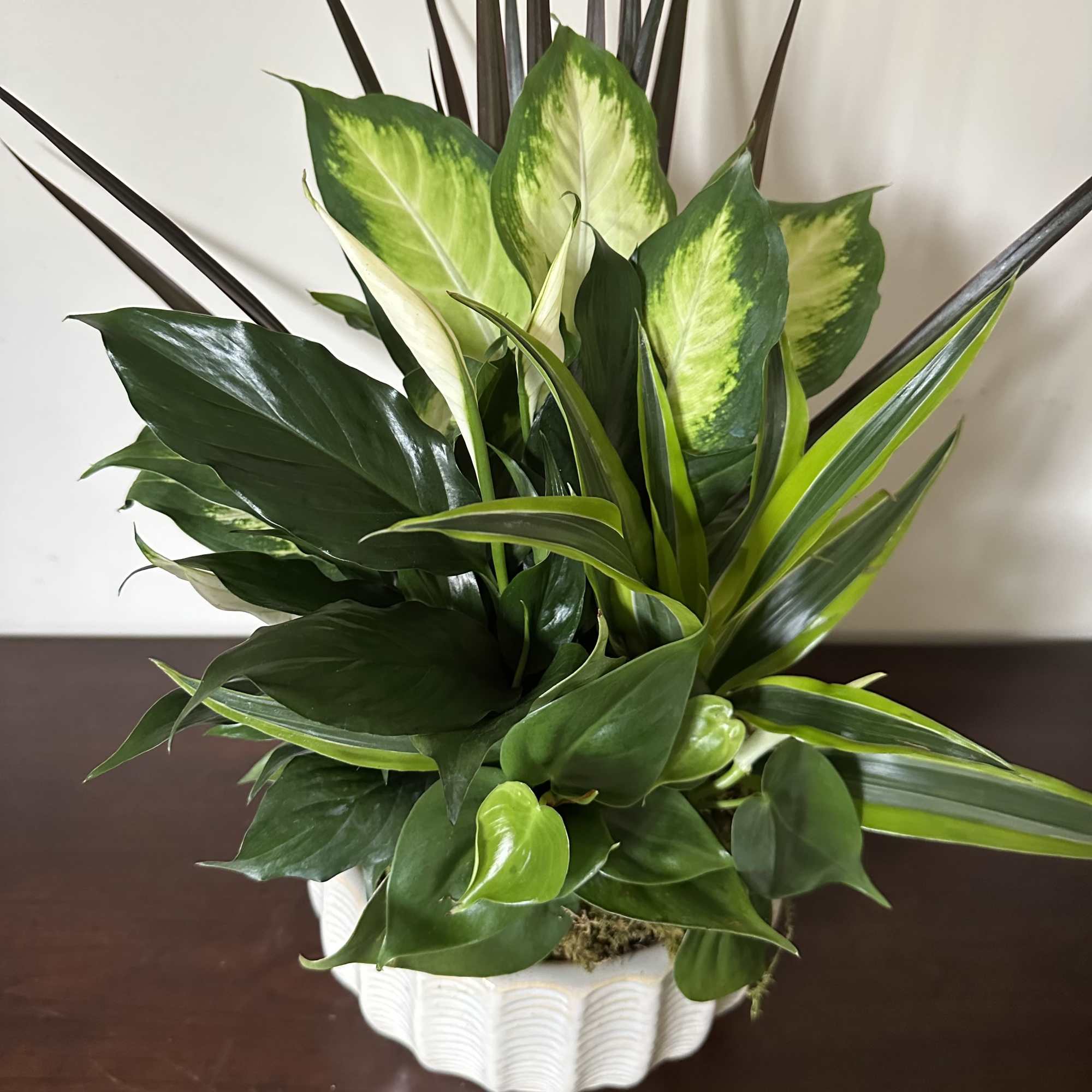 Lush architectural foliage takes center stage in this modern dish garden, a