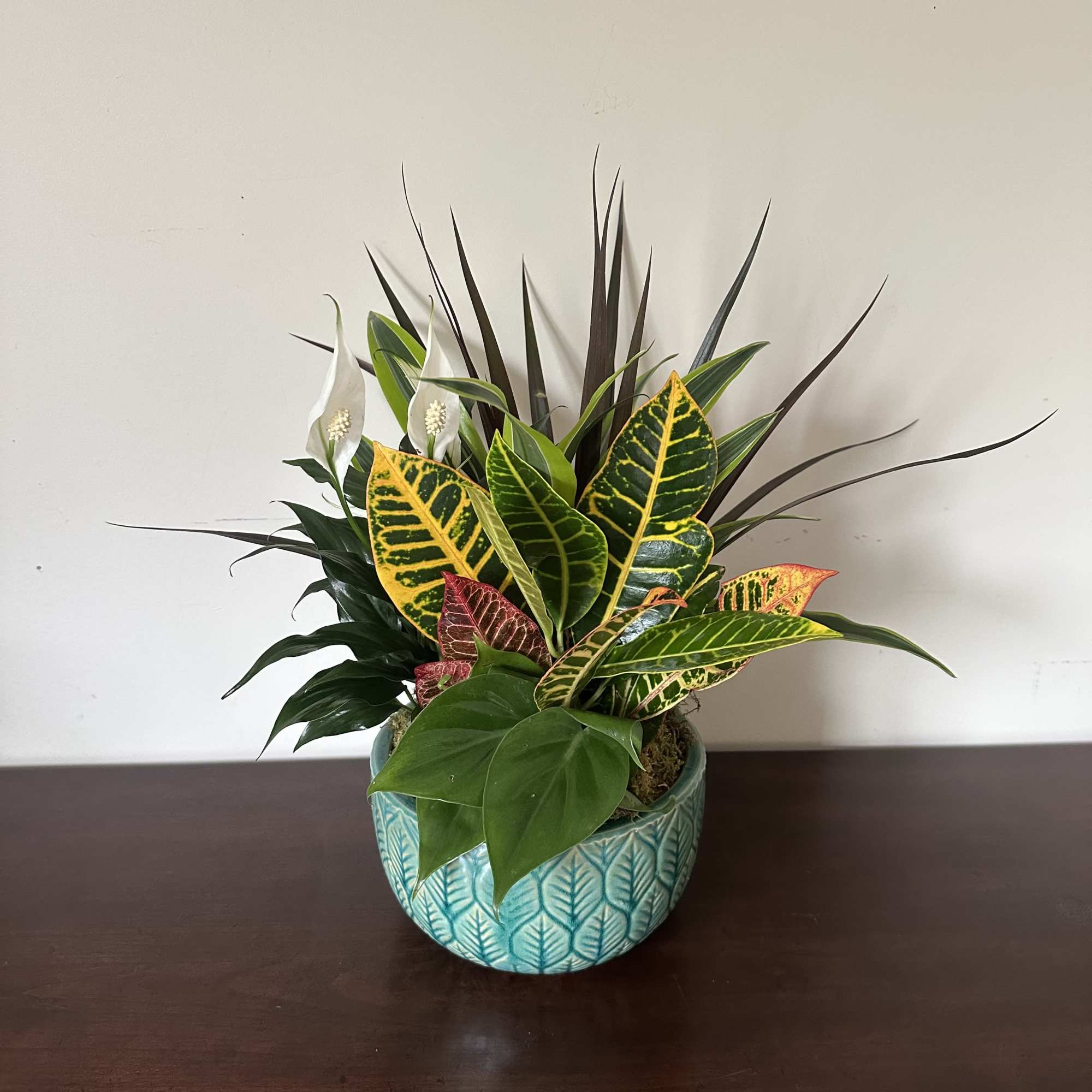 Lush architectural foliage takes center stage in this modern dish garden, a