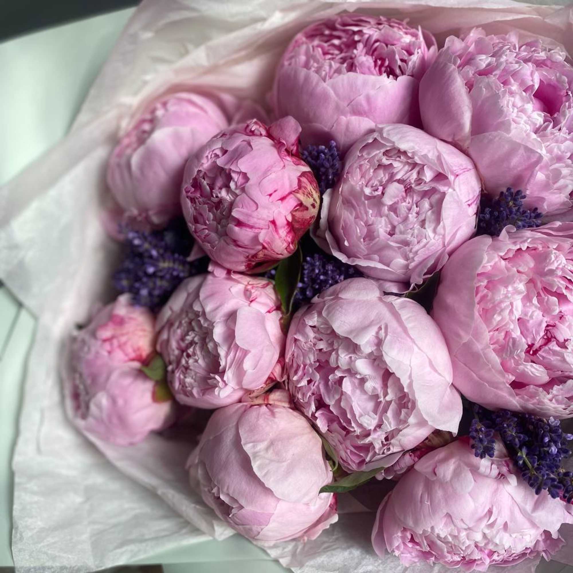 Bouquet of pink peonies with small purple filler flowers wrapped in white paper