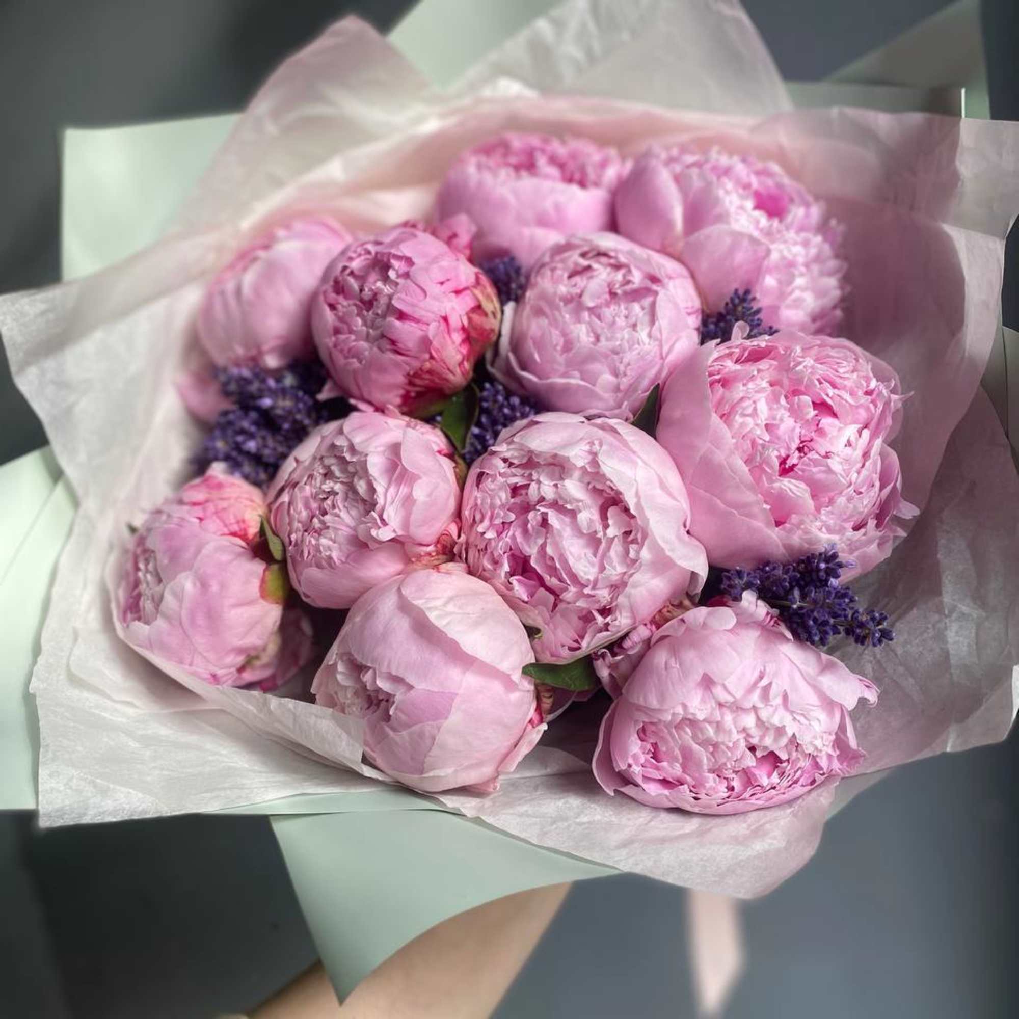 Bouquet of pink peonies wrapped in pale paper
