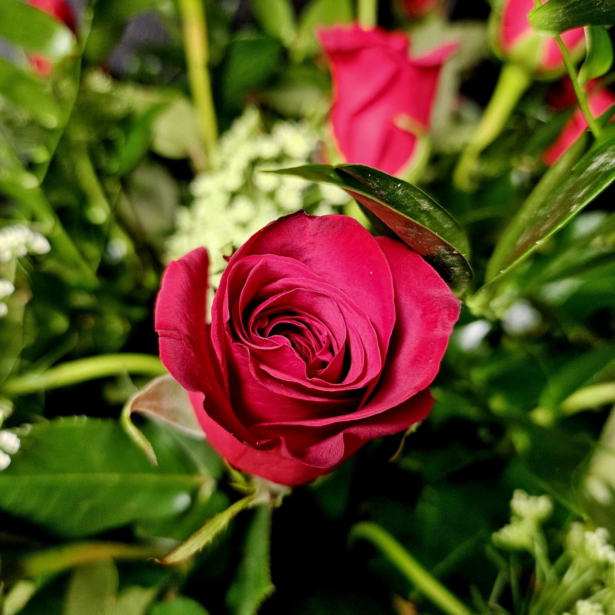 Close-up of a bright pink rose in a floral arrangement