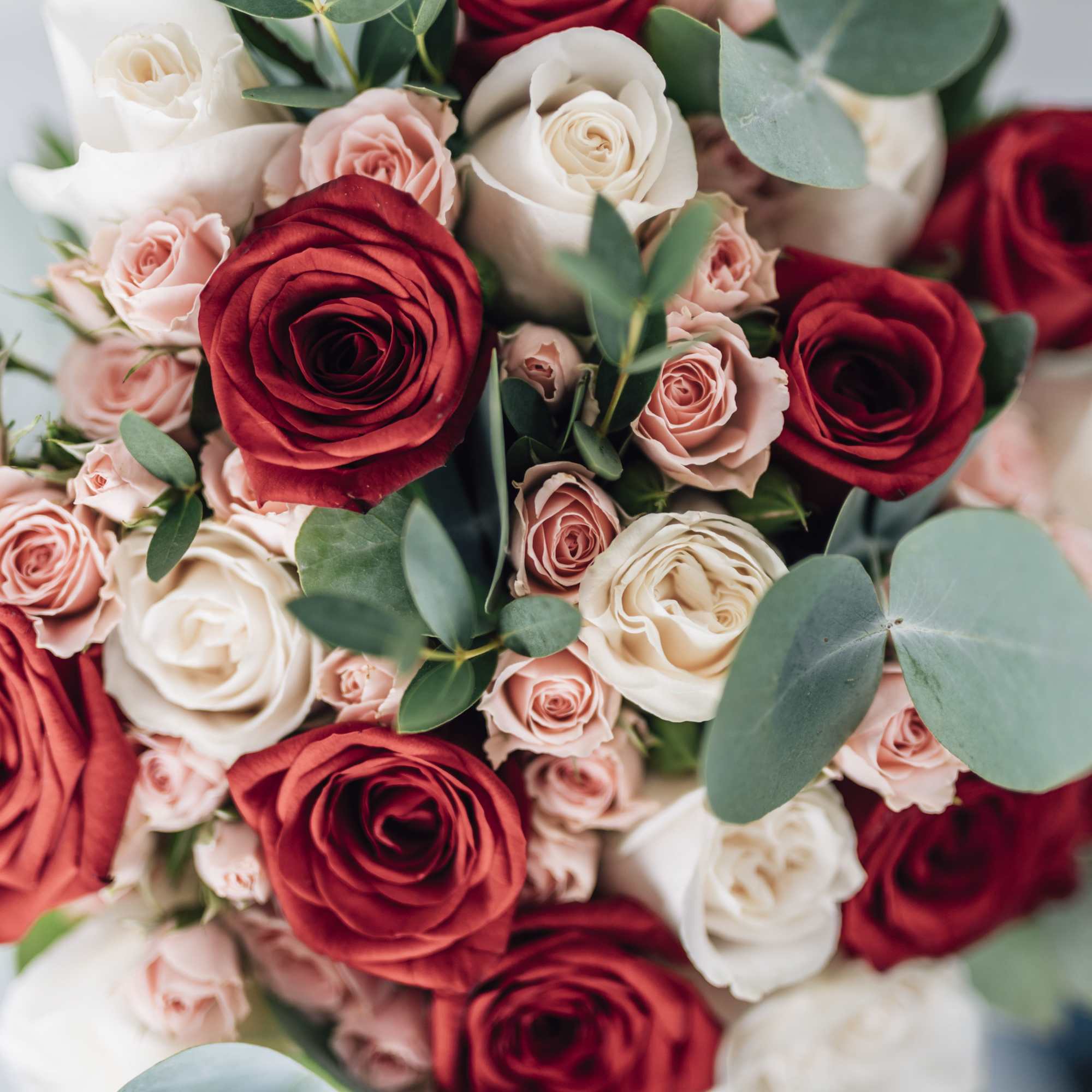 Bouquet of red, blush, and white roses with eucalyptus