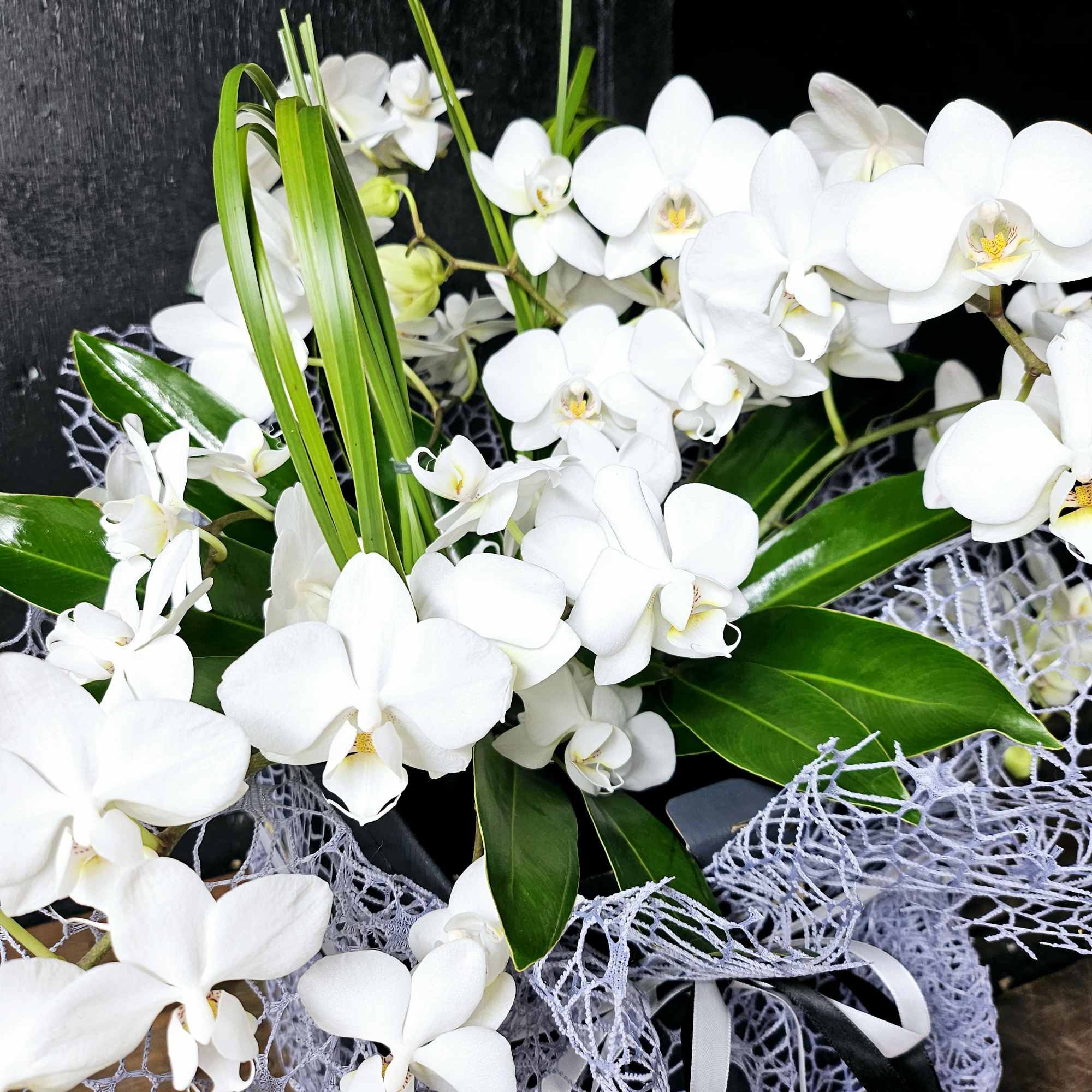 White orchid bouquet with glossy green leaves and lavender mesh wrap