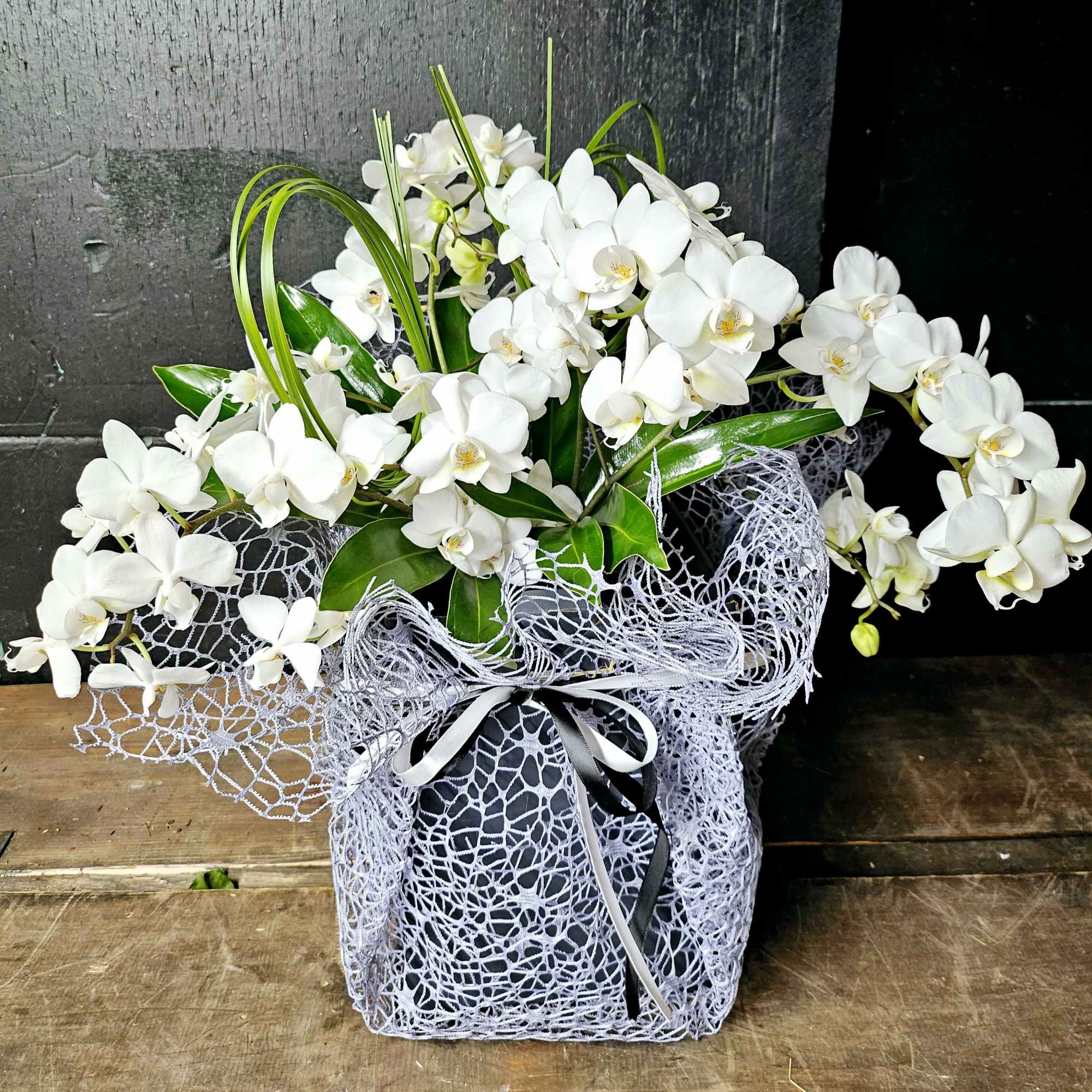 White orchid arrangement in a lace-wrapped black box with ribbon