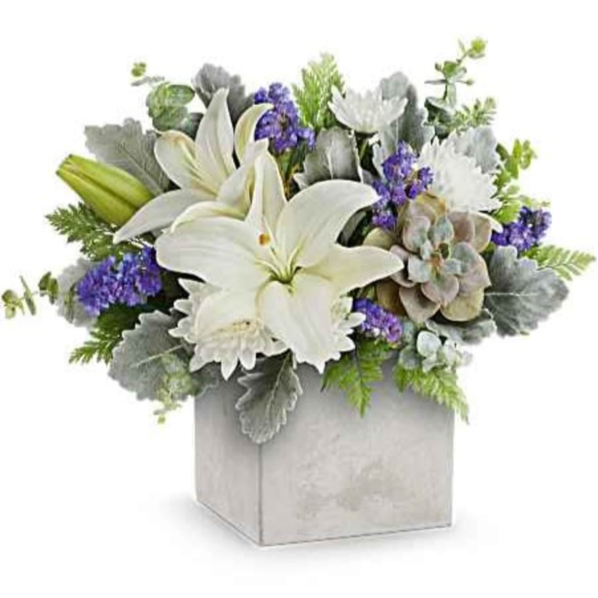 Sleek yet sweet! This stylish arrangement pairs a sculptural succulent with delicate