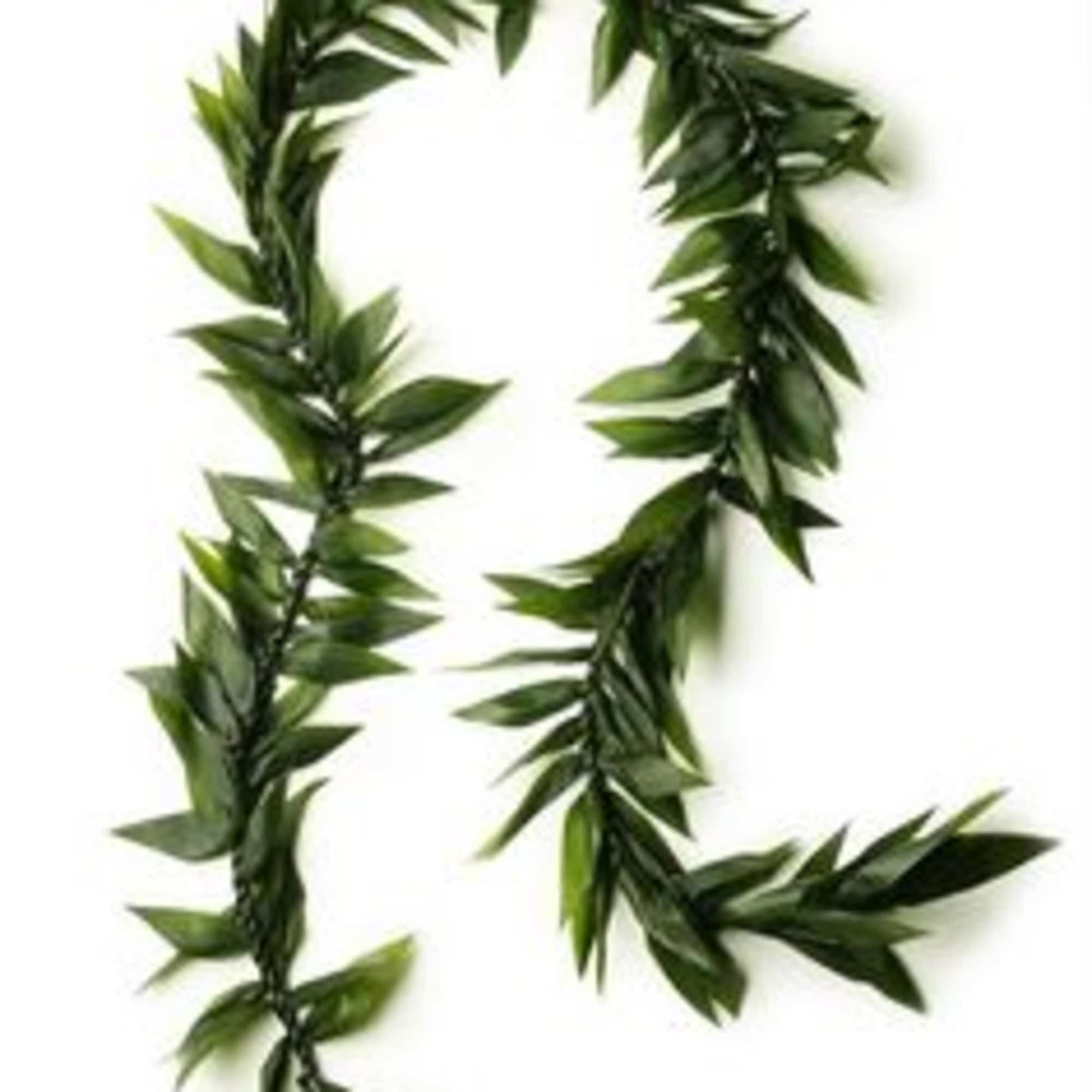 Green leafy garland arranged in a loop on a white background