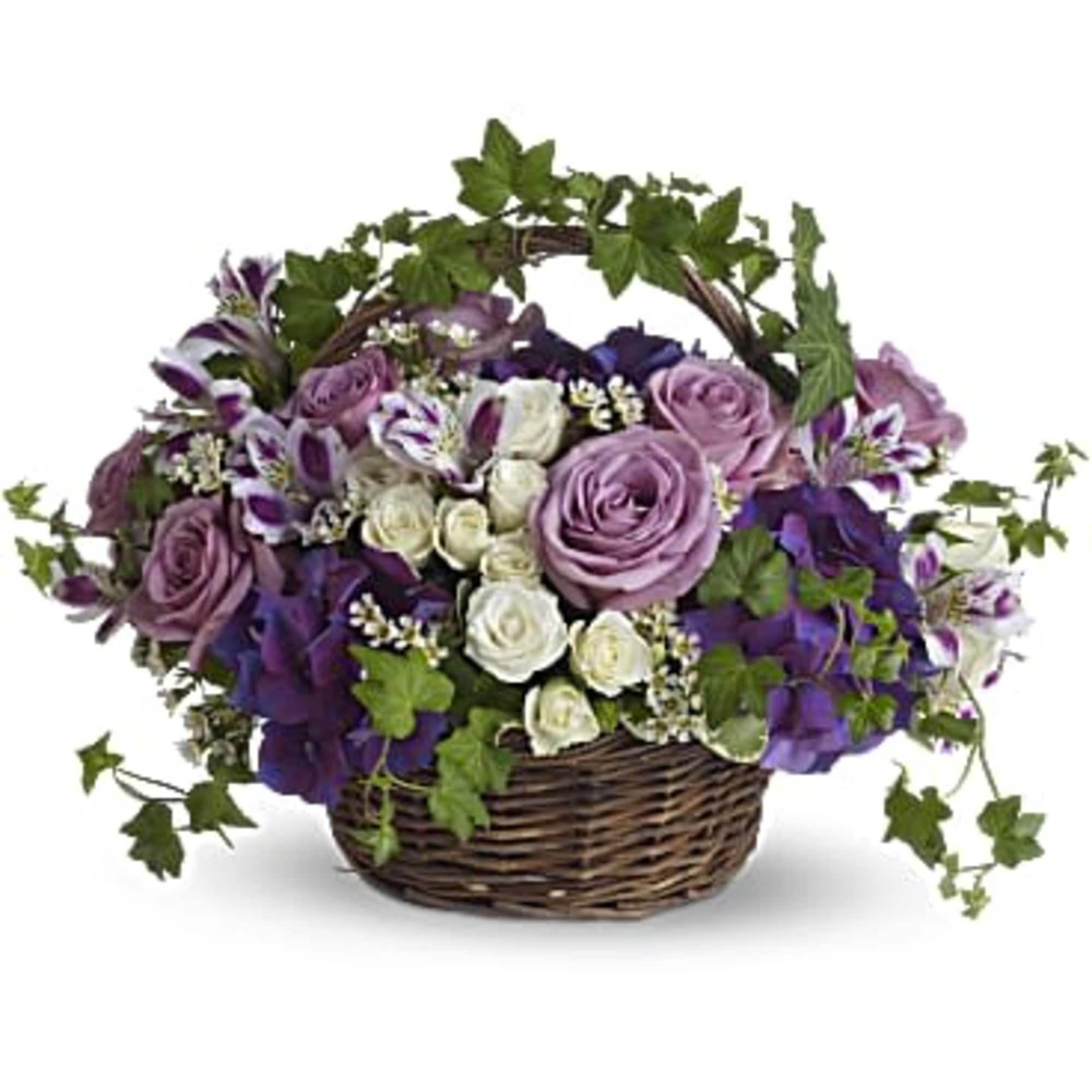 Purple and white flower basket with ivy in a wicker basket
