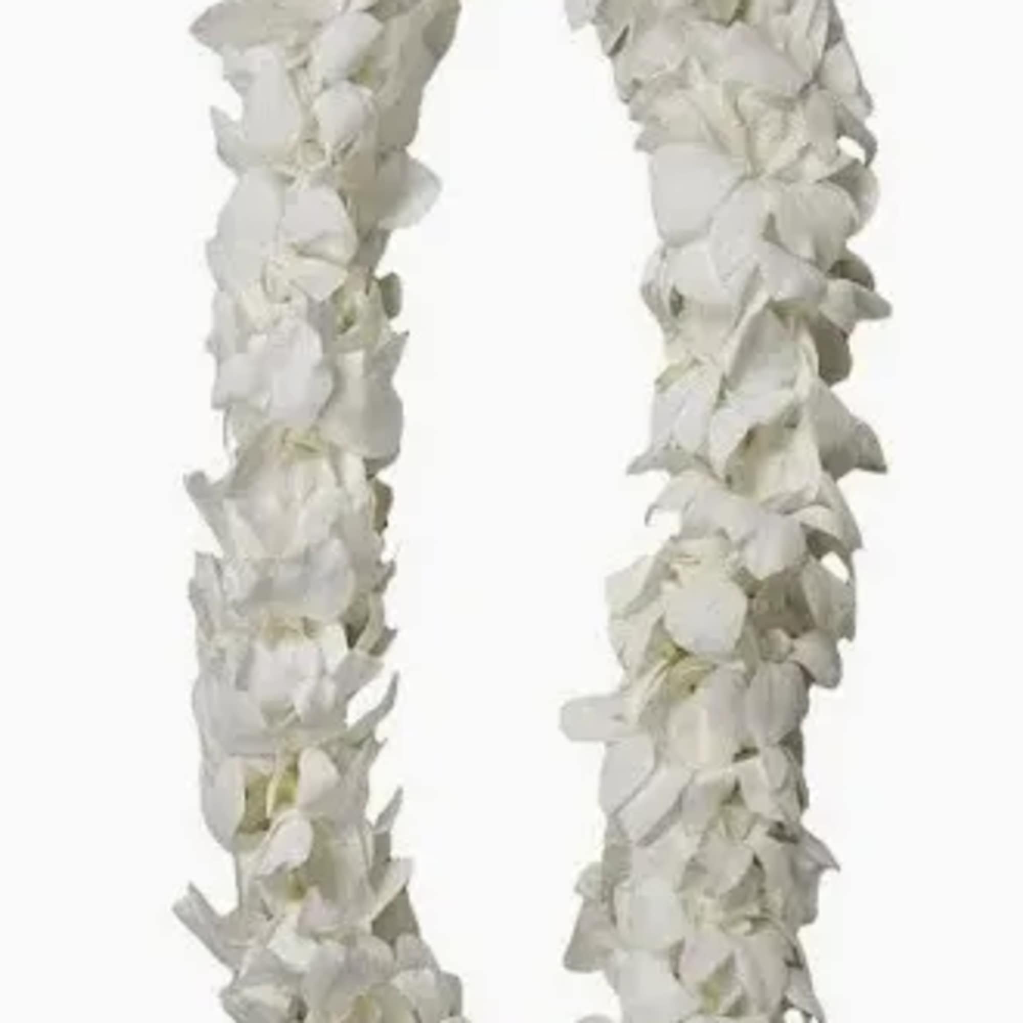 Double orchid graduation lei's come in purple and white.