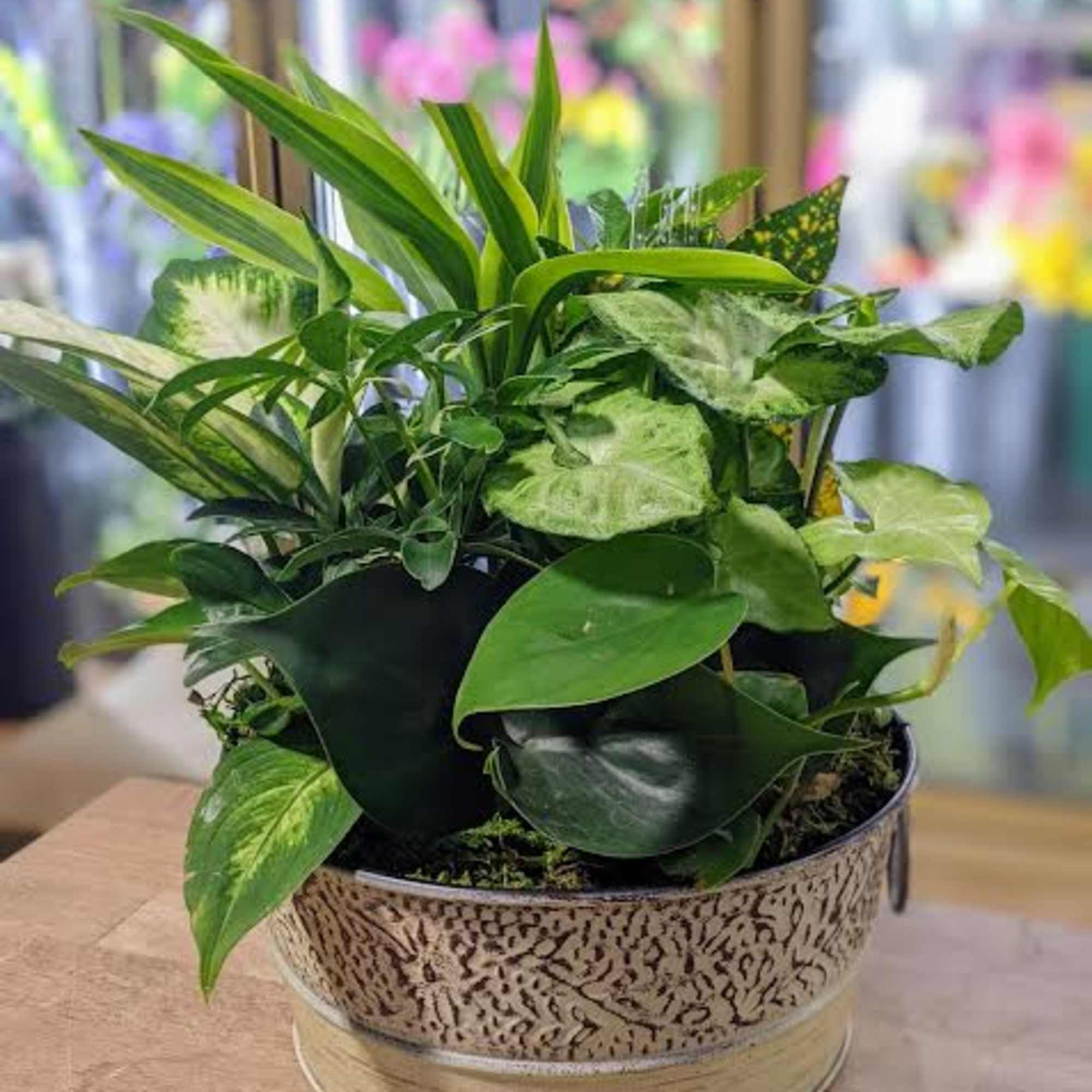 Planter in Tin