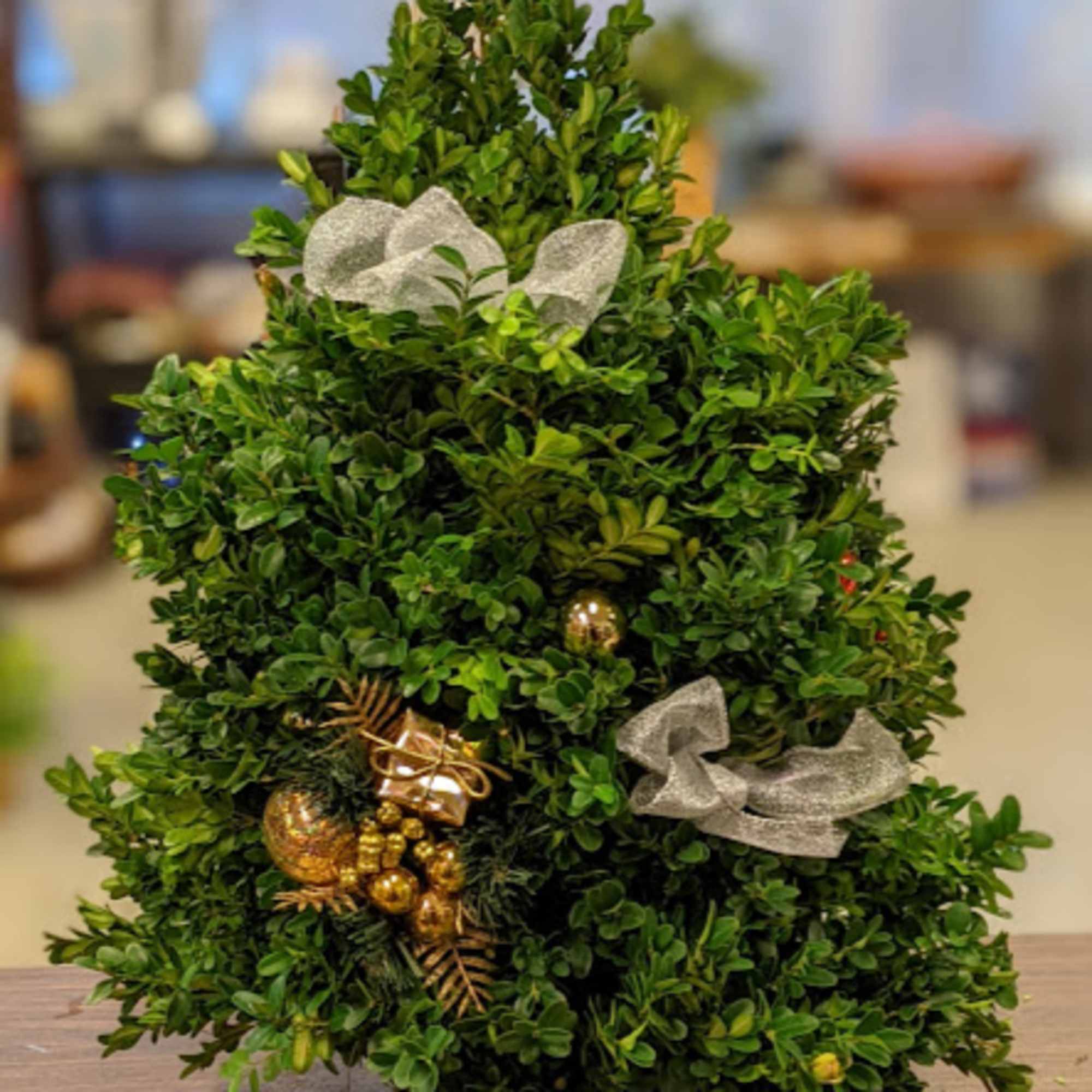 Small decorated evergreen tree with silver ribbon and gold ornaments