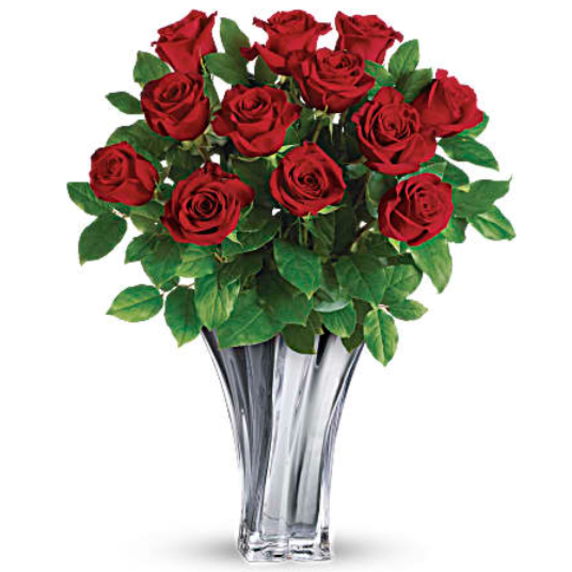 Red roses arranged in a clear glass vase