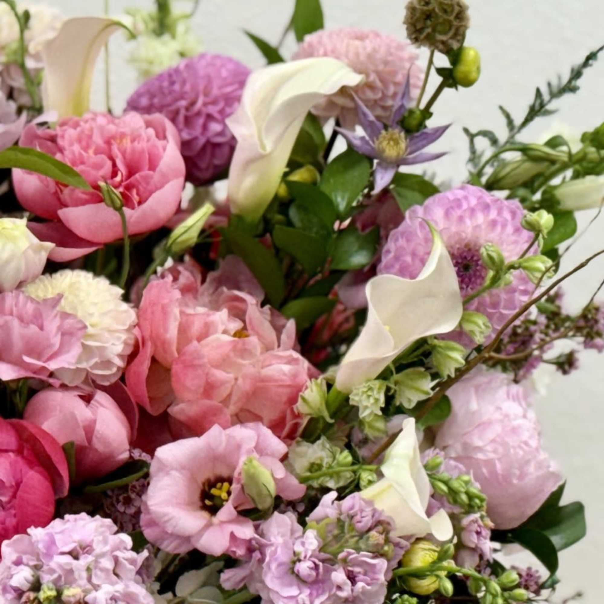 Little Peony Signature Collection &ndash; Opal Essence
Illuminate any occasion with Opal Essence