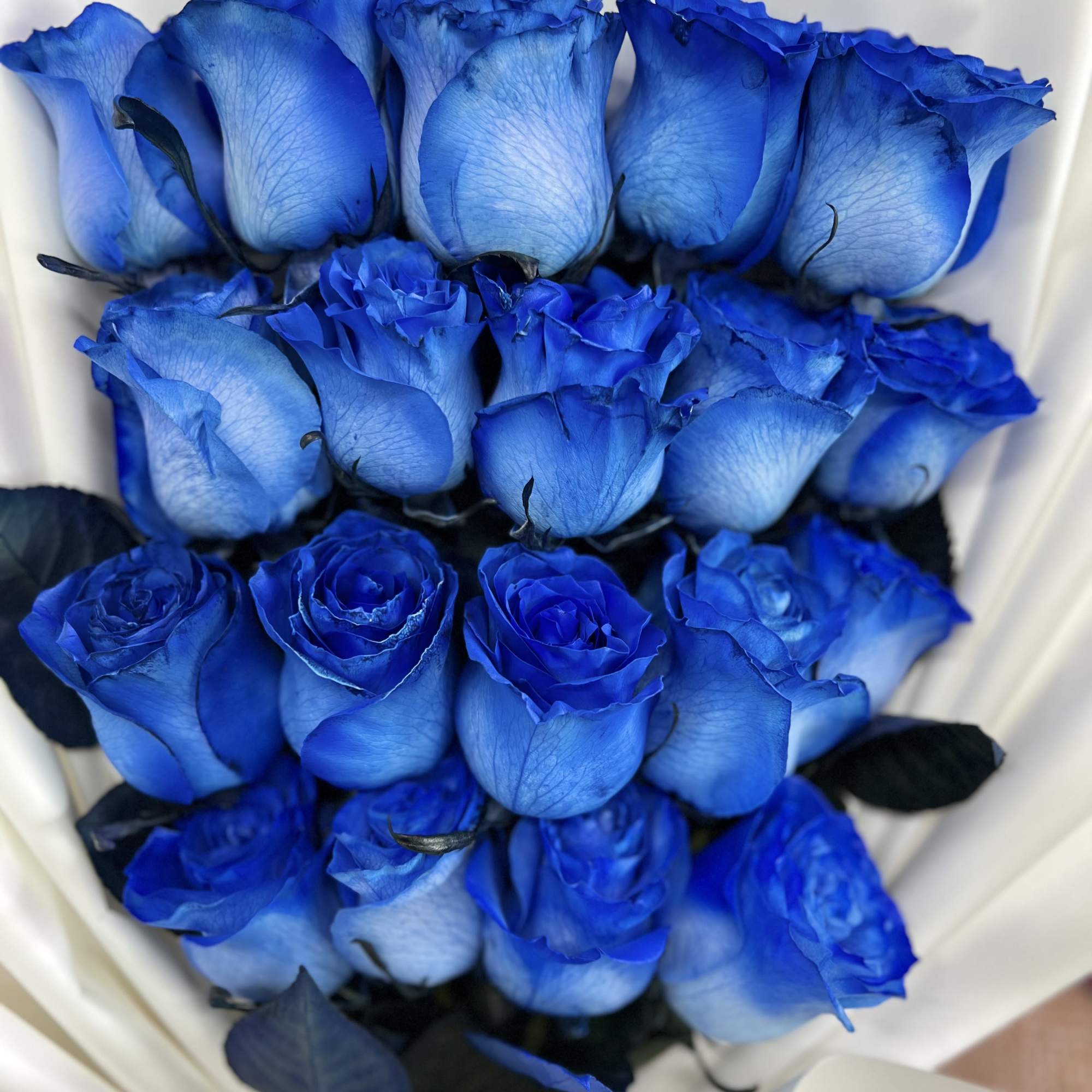 A captivating arrangement of fresh blue roses, elegantly wrapped and tied with