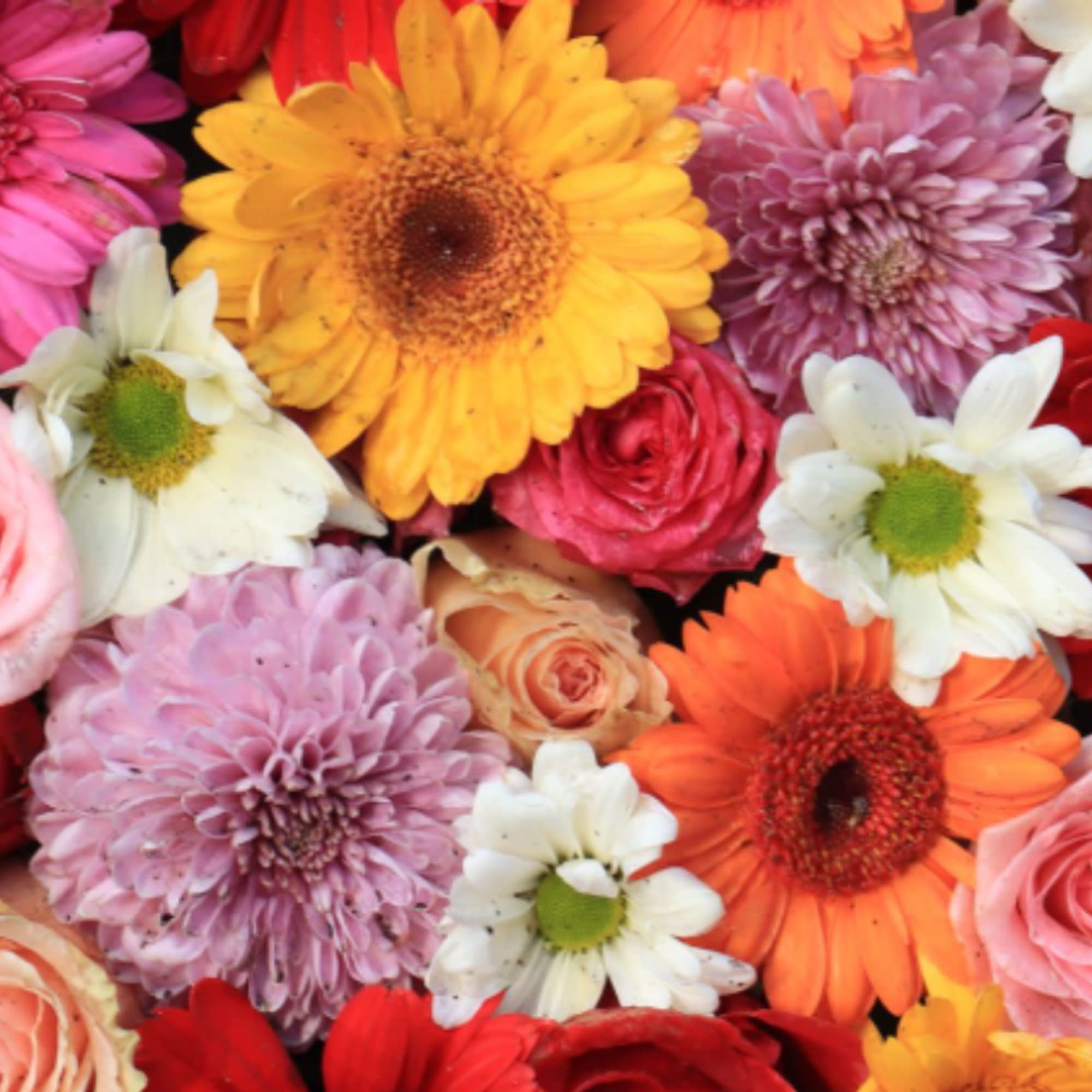 Mixed flowers artfully designed in a vase