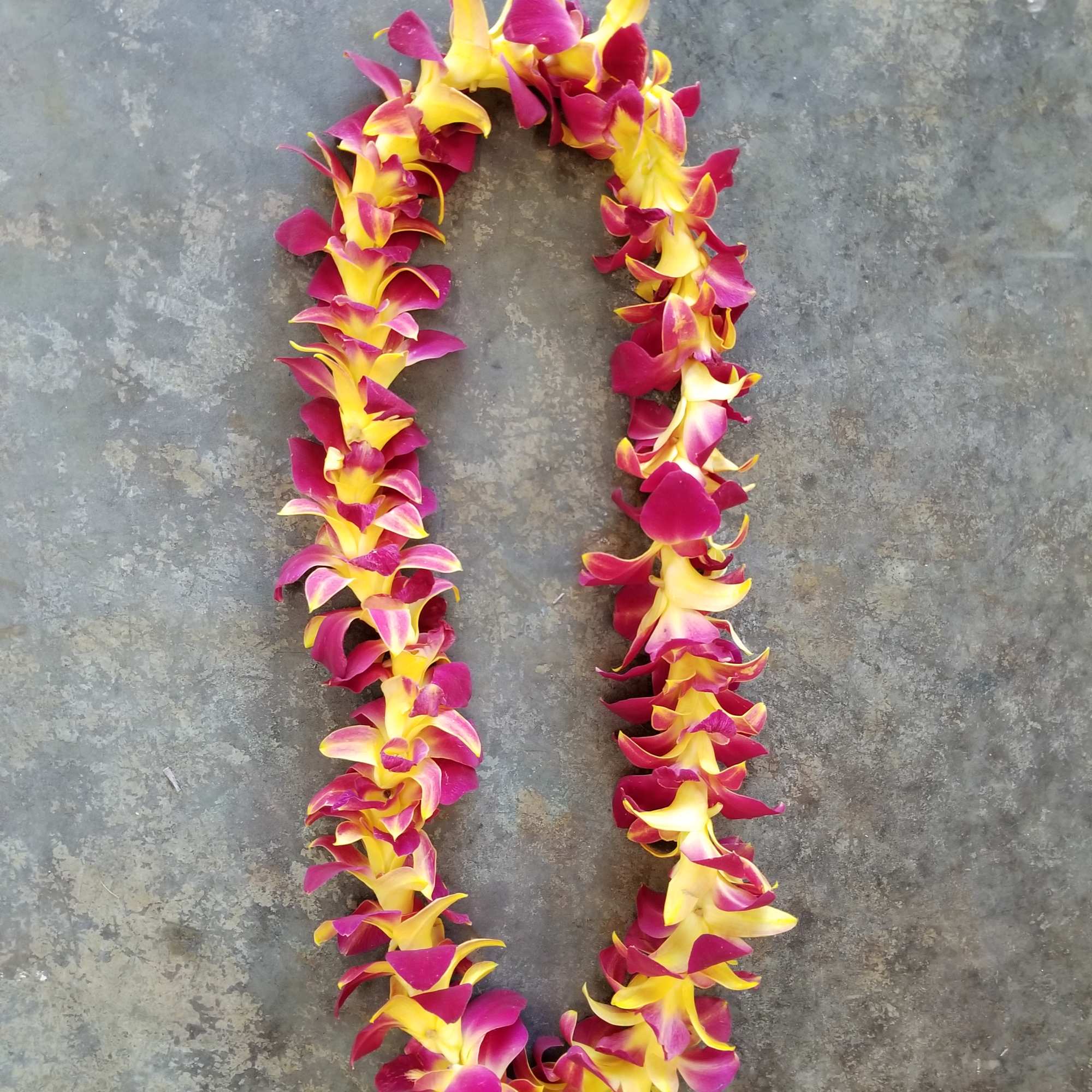 A magenta and yellow flower lei laid in a loop on a gray surface