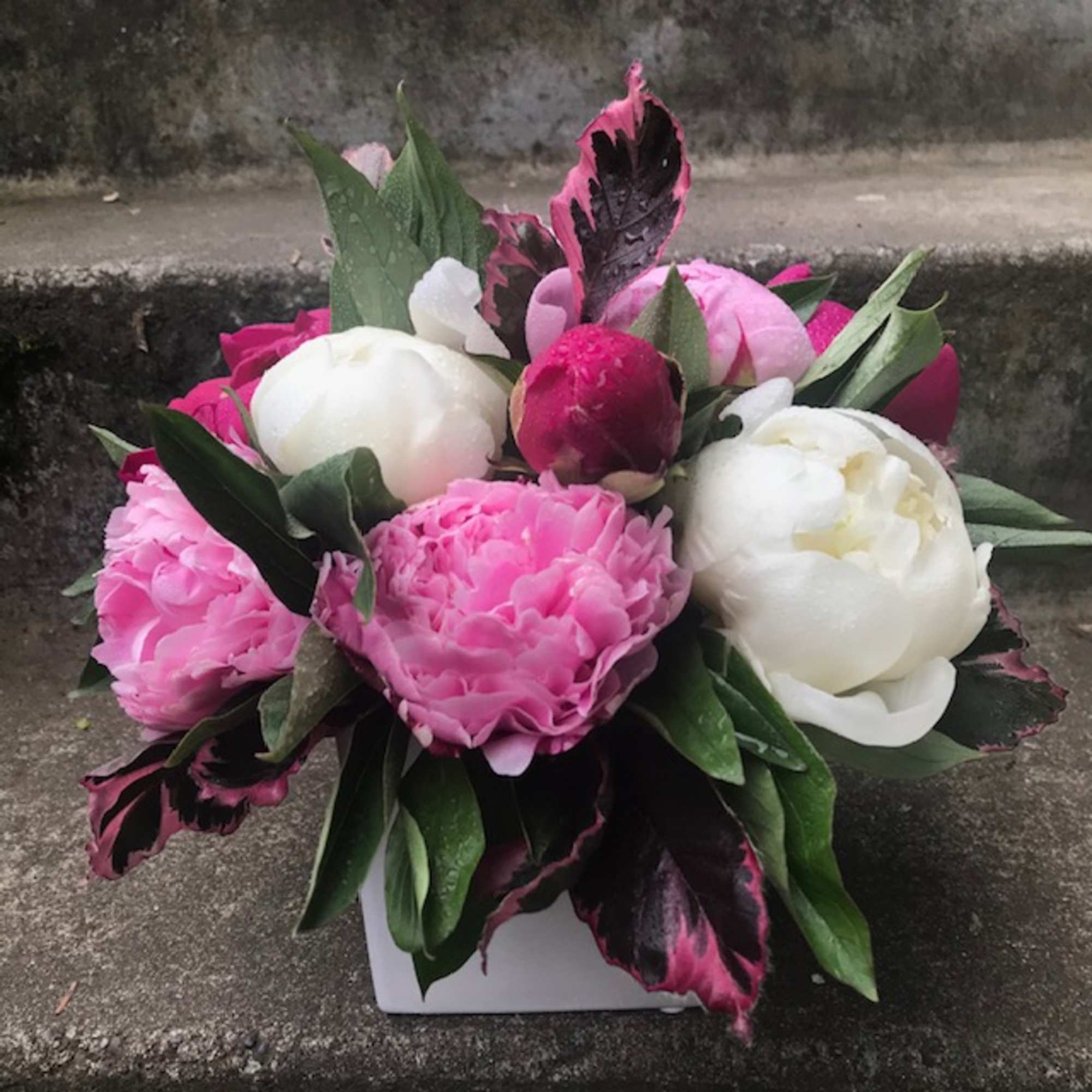 Pink and white peonies arranged in a white box