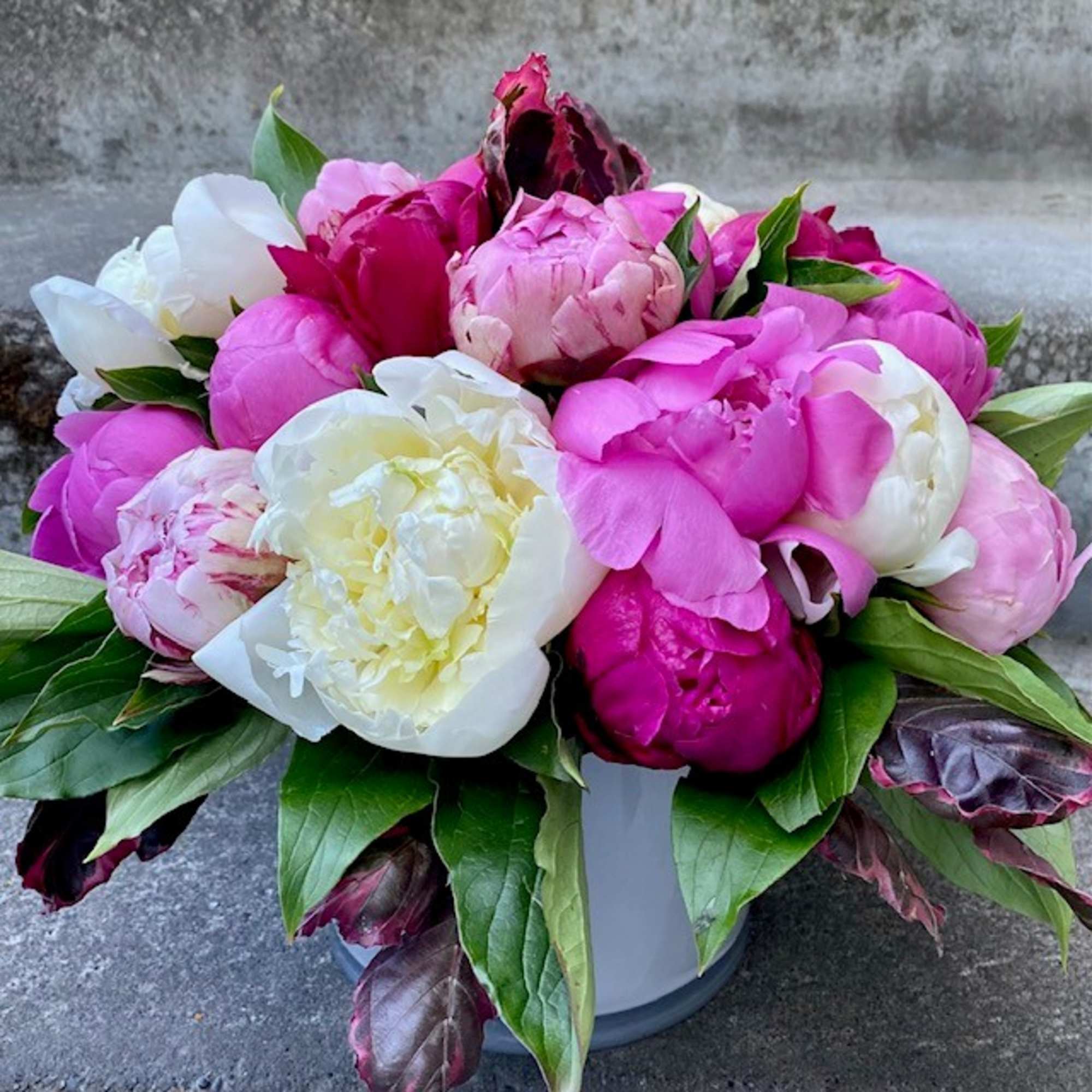 Pink and white peonies arranged in a white vase