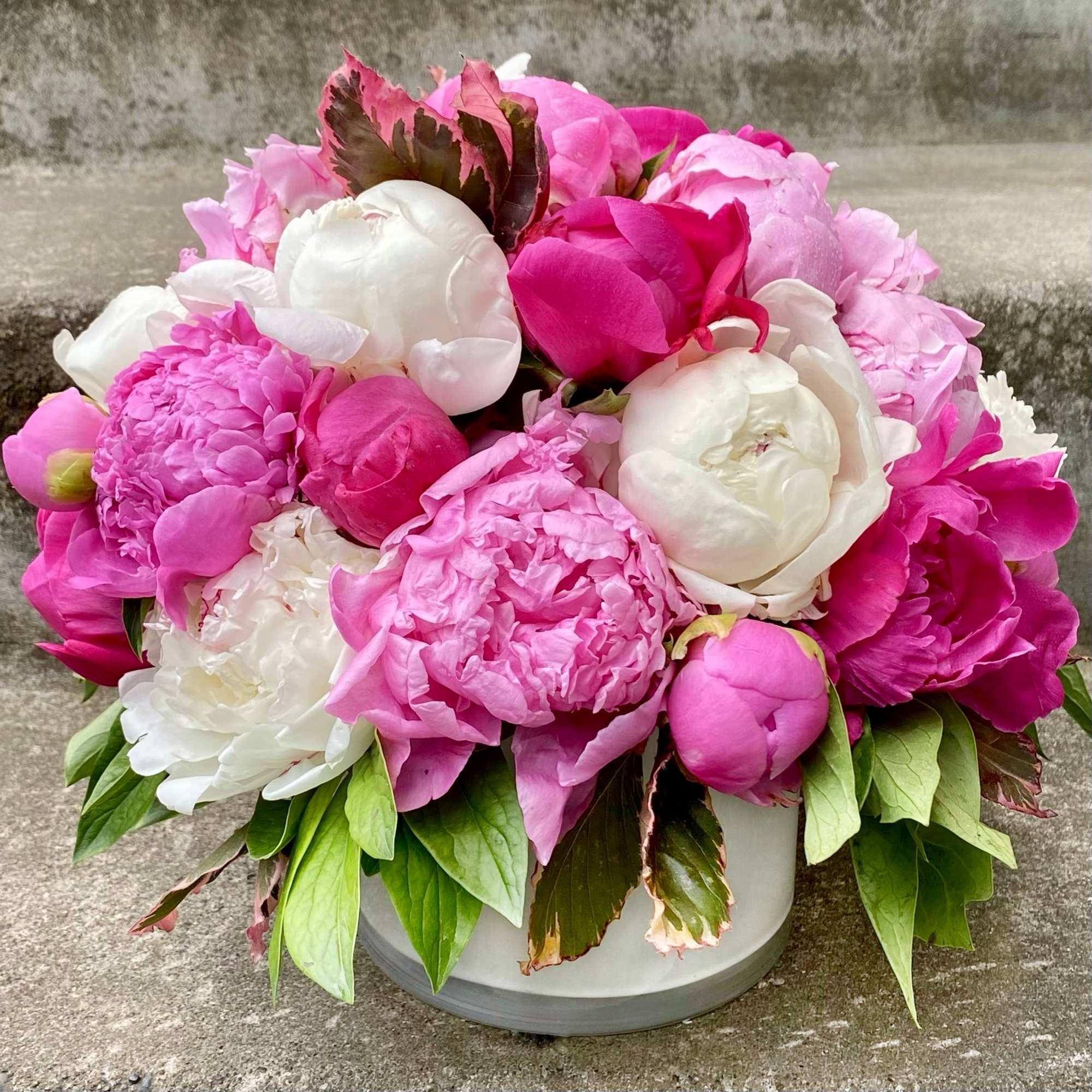 Pink and white peonies arranged in a round white vase