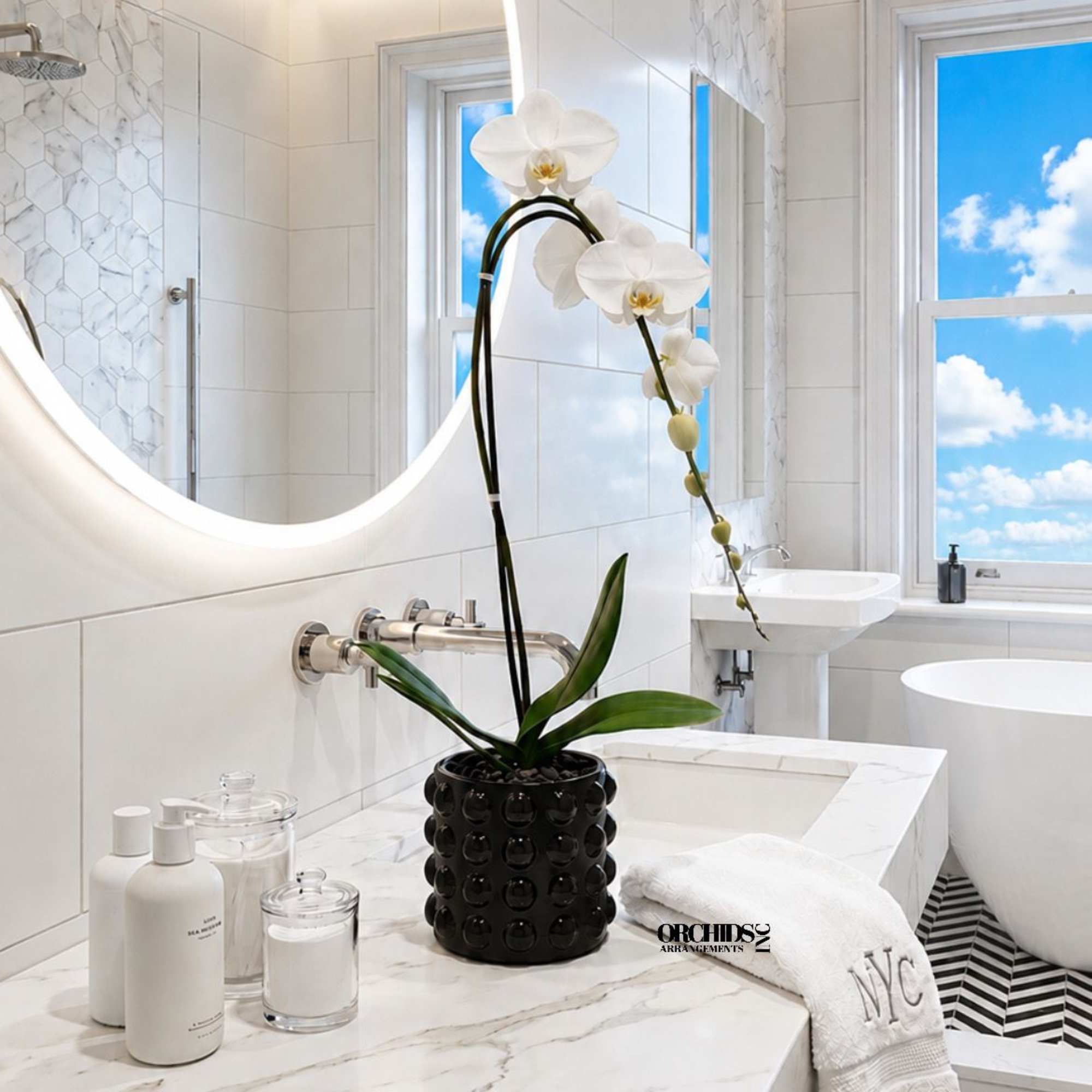 A luxury Single White Phalaenopsis orchid designed for gifting. We offer flower