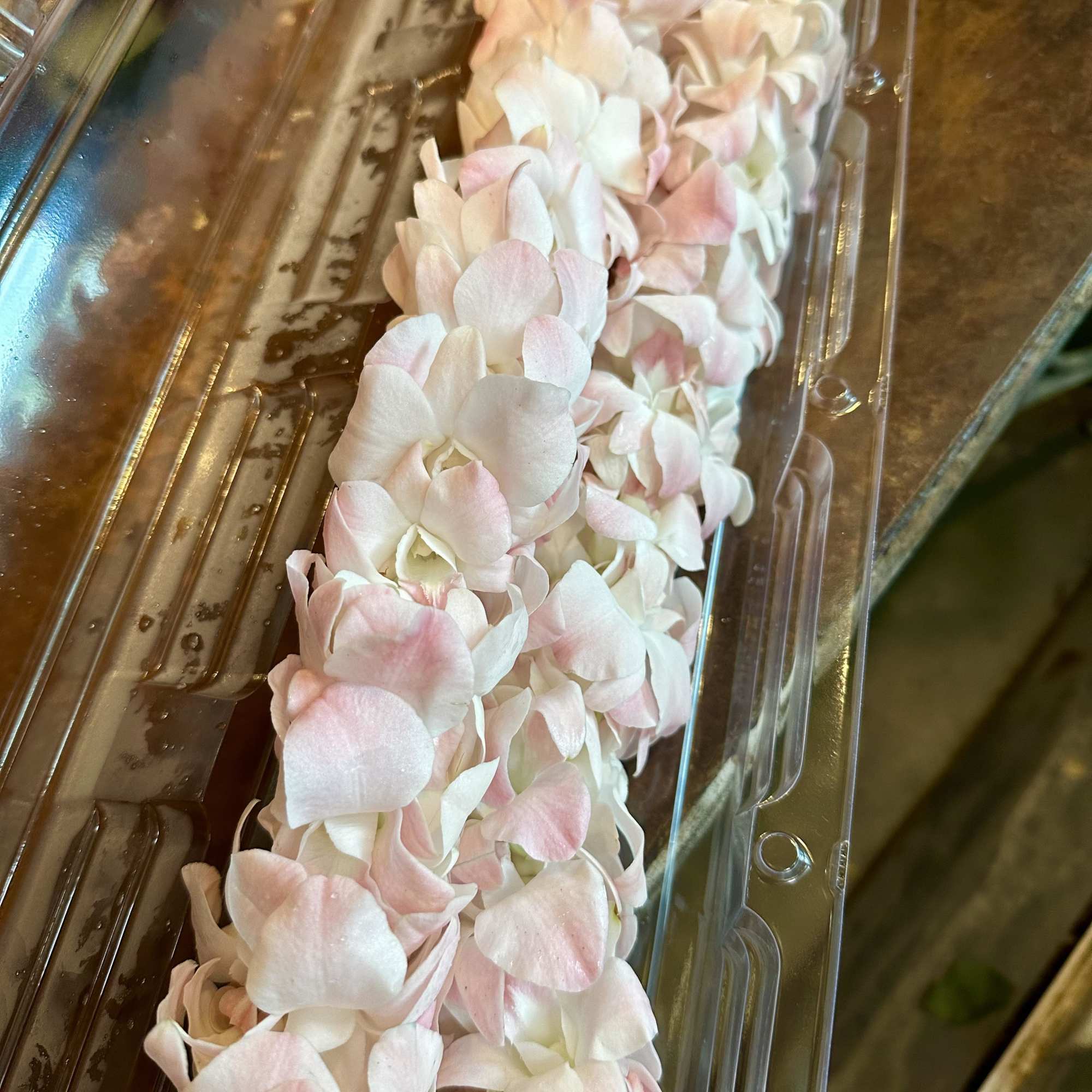 A long garland of pale pink and white hydrangea petals in a clear plastic tray.